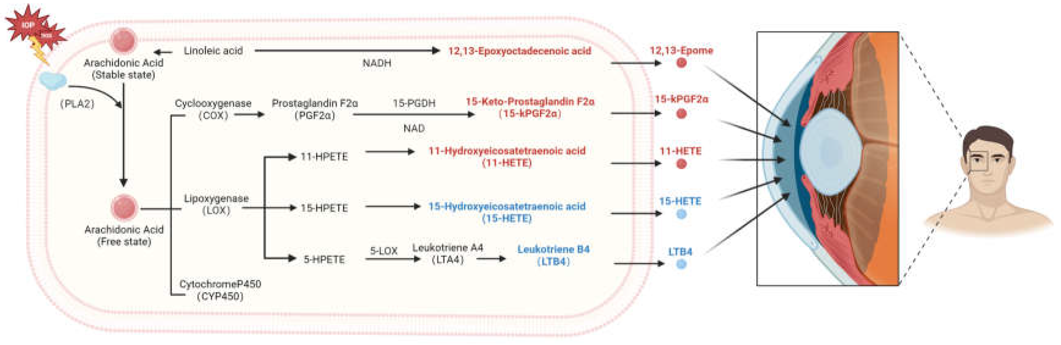 Preprints 113112 g005