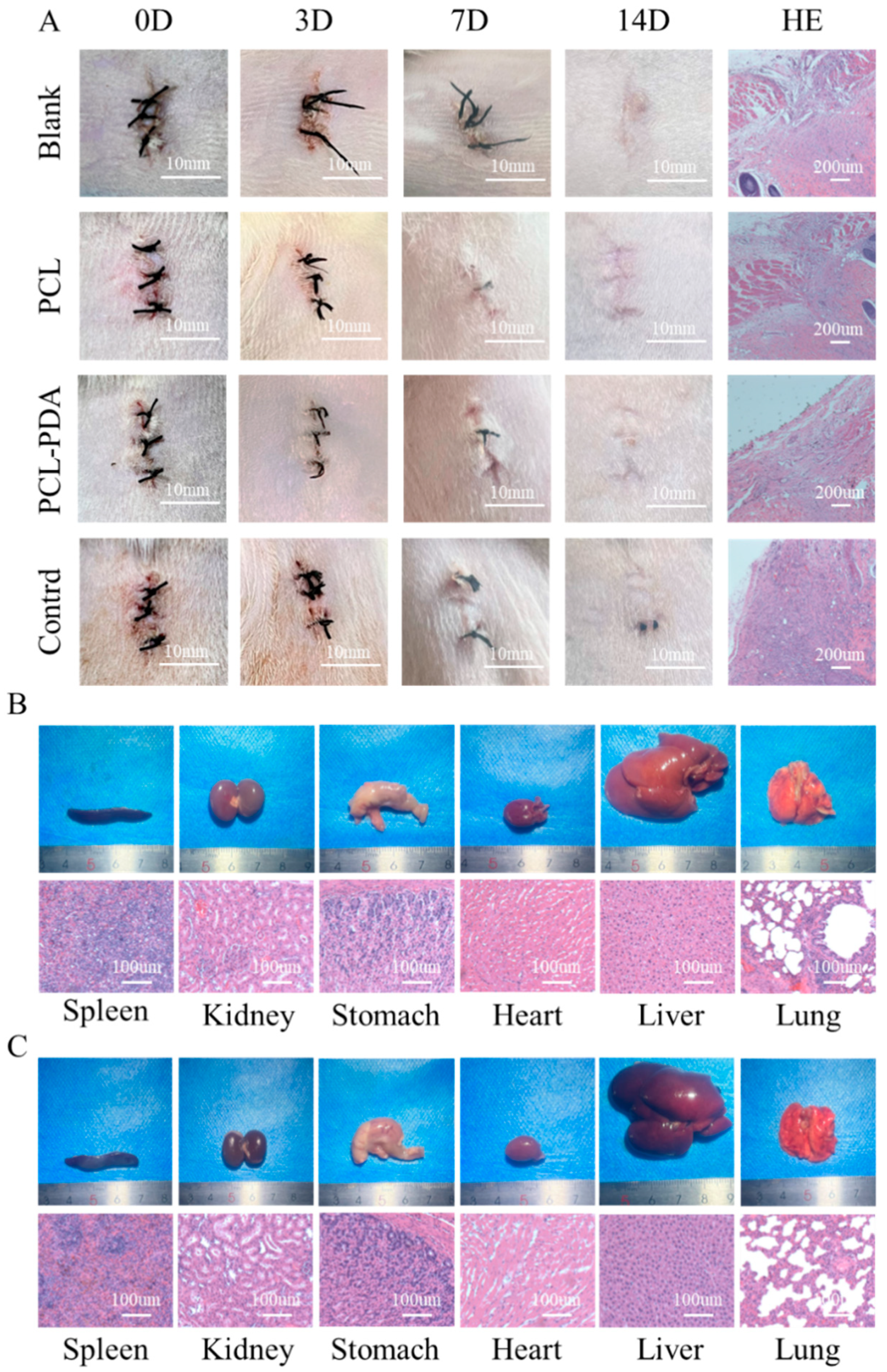 Preprints 77132 g004