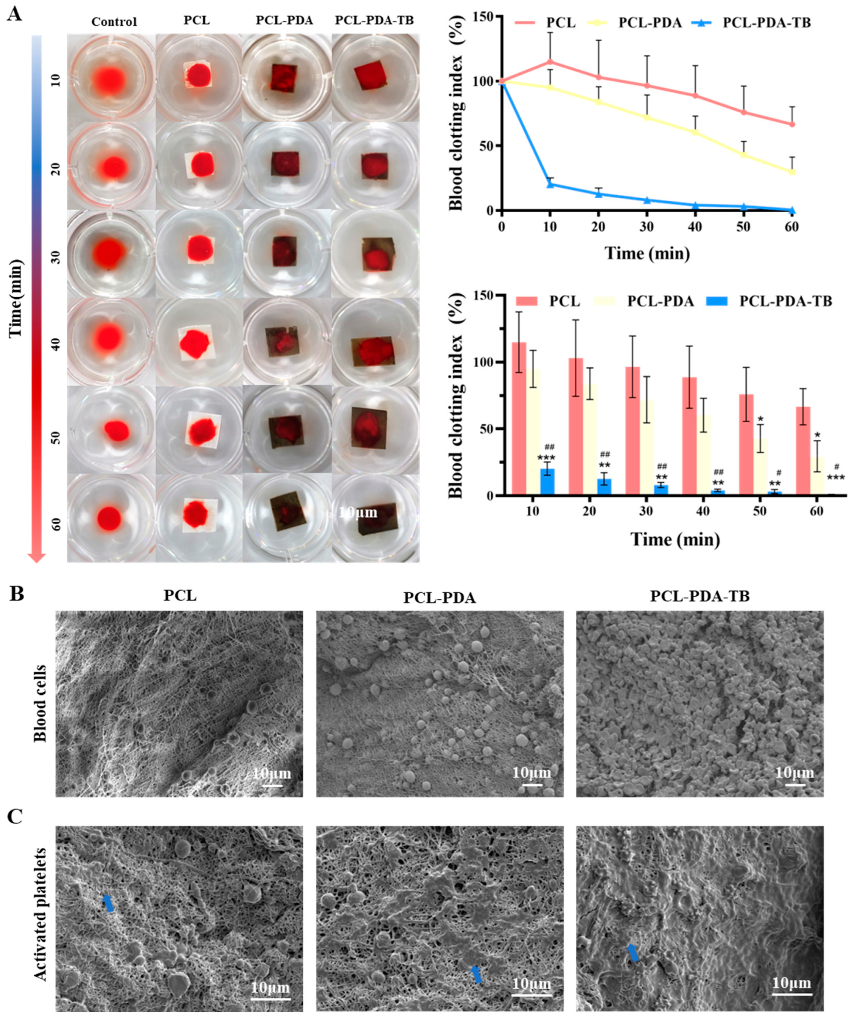 Preprints 77132 g005