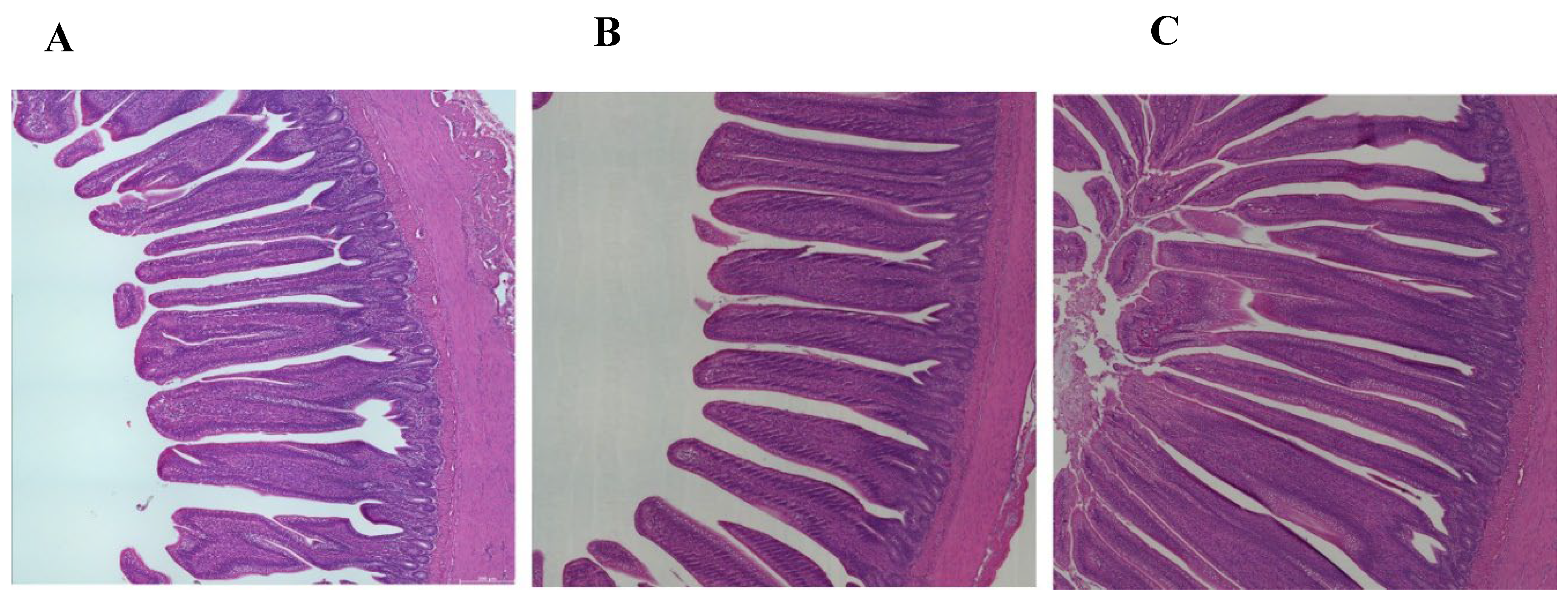 Preprints 107871 g005