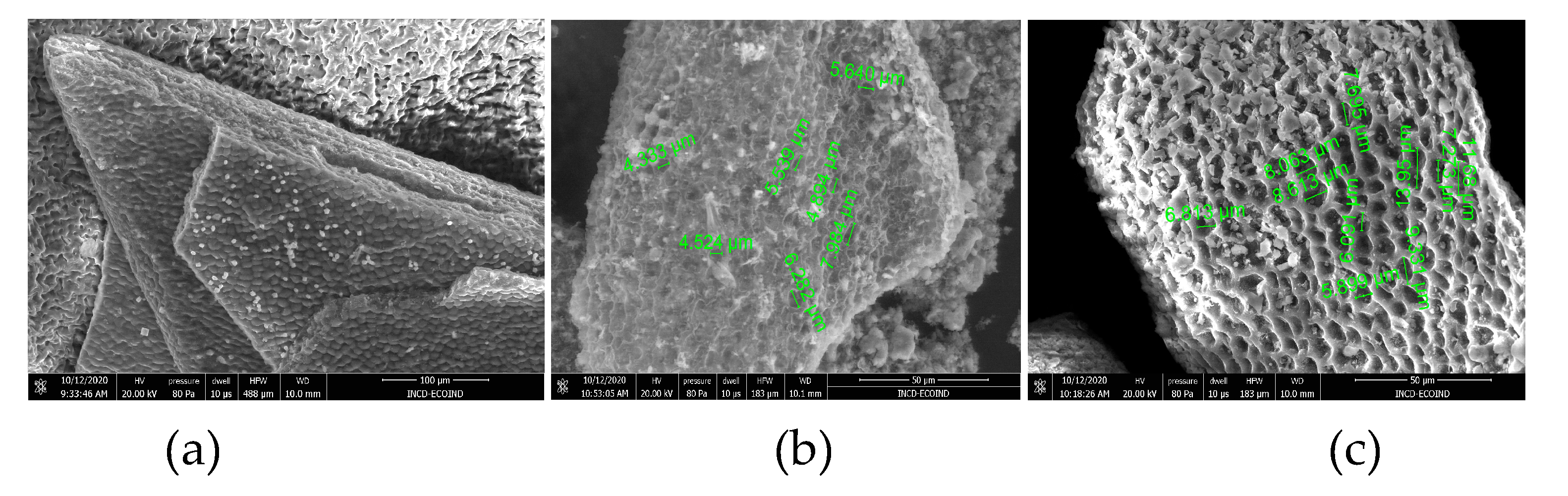 Preprints 78501 g002