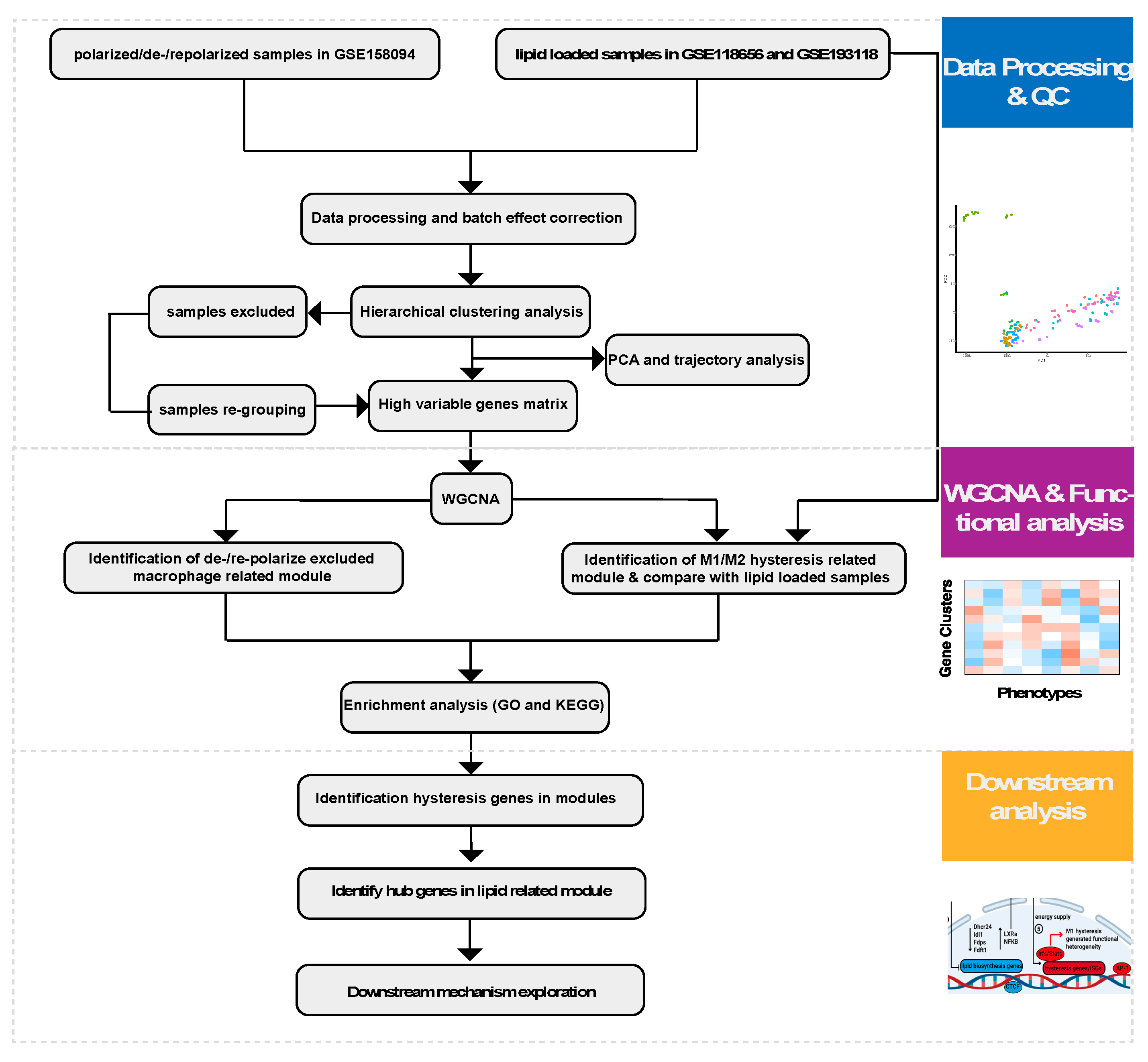 Preprints 138244 g001