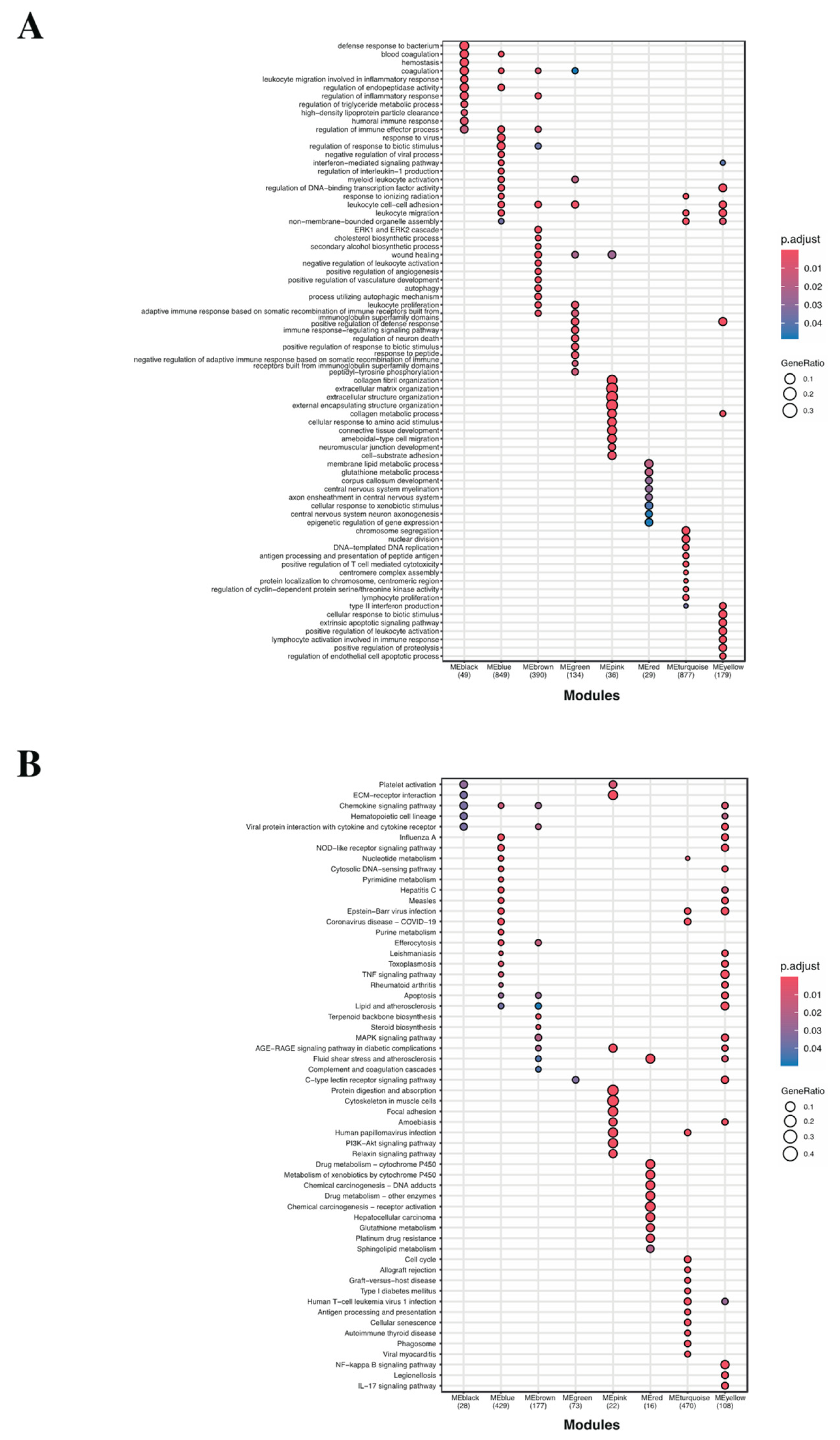 Preprints 138244 g005