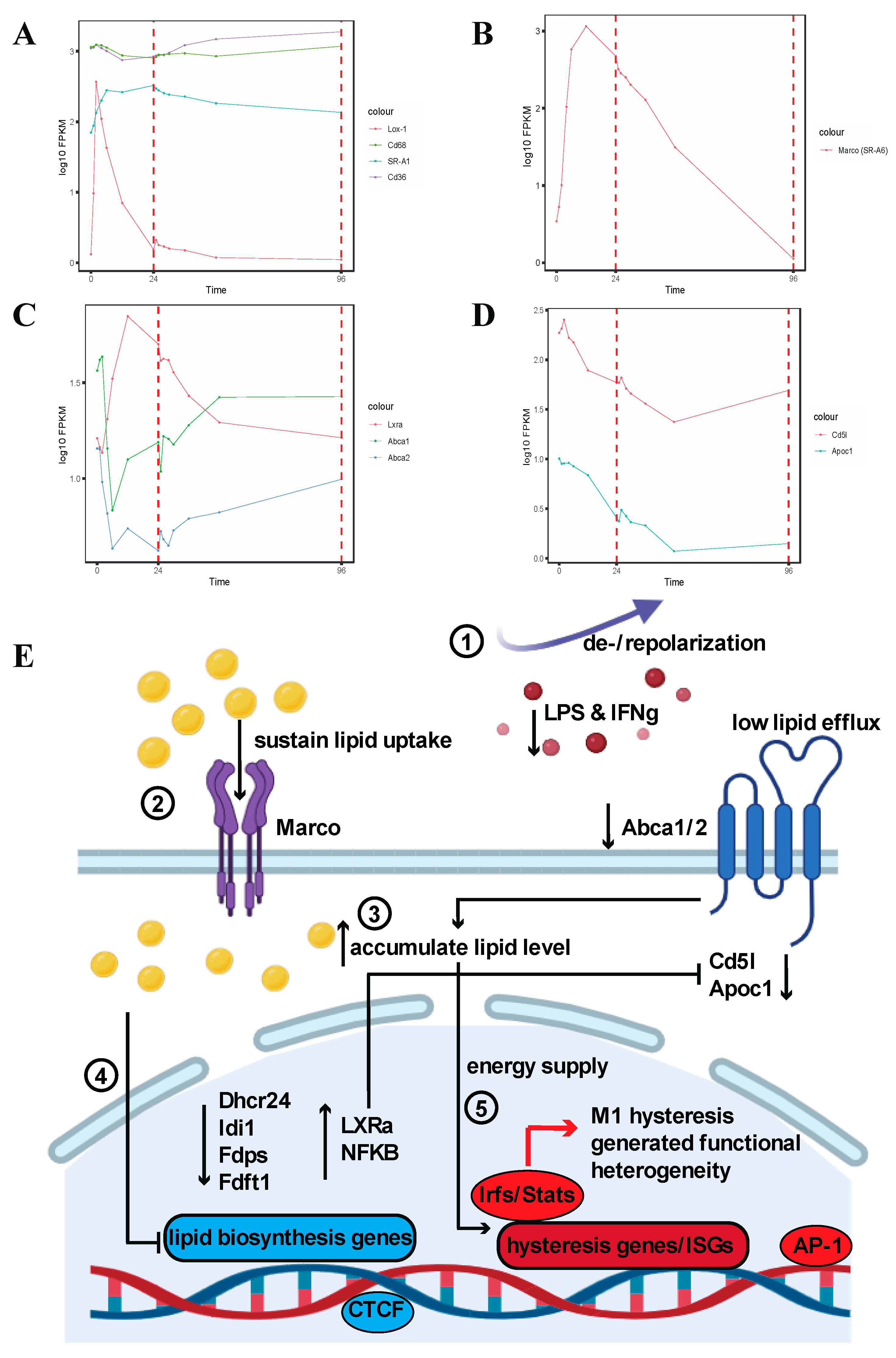 Preprints 138244 g008