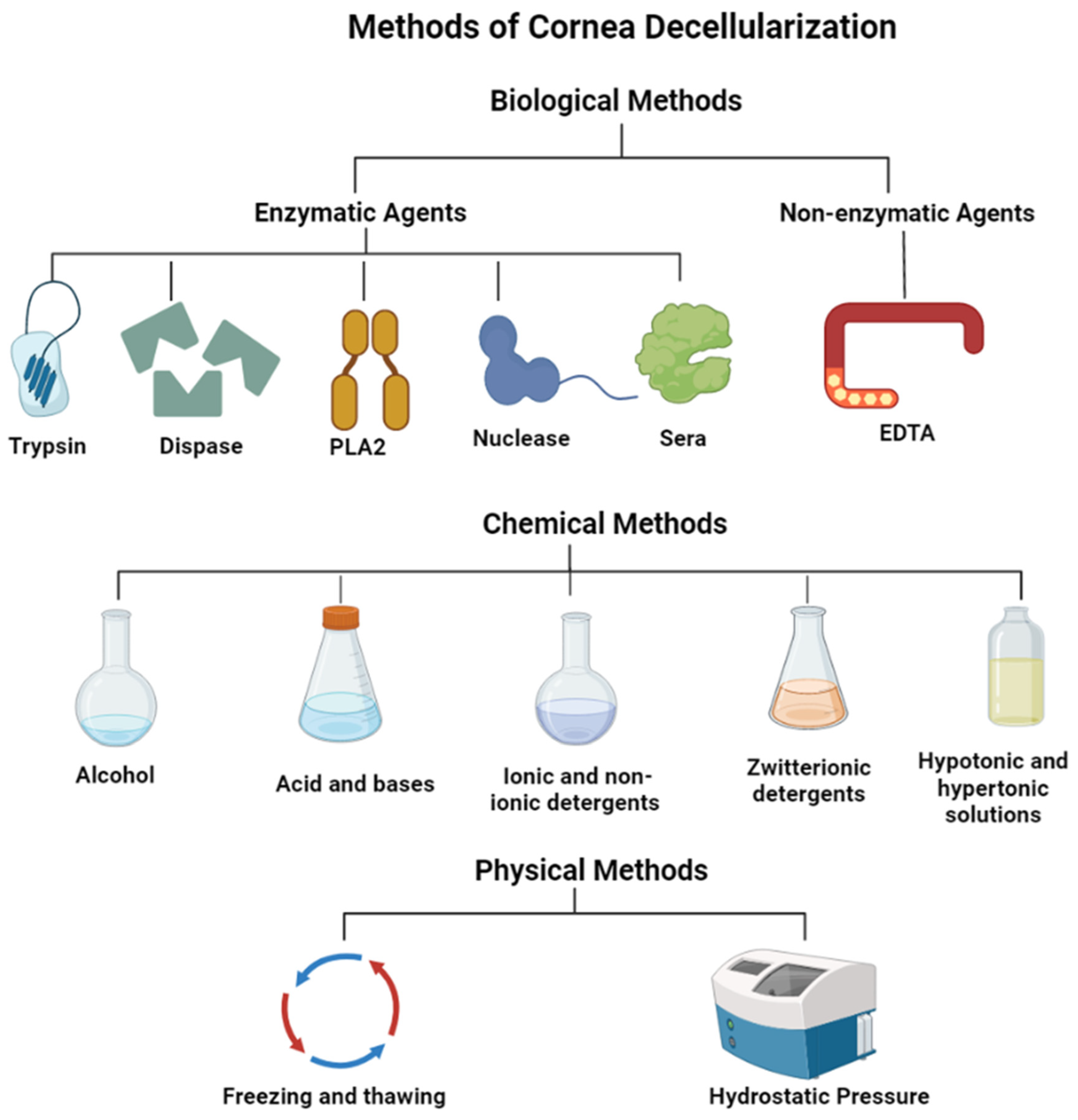 Preprints 70300 g001