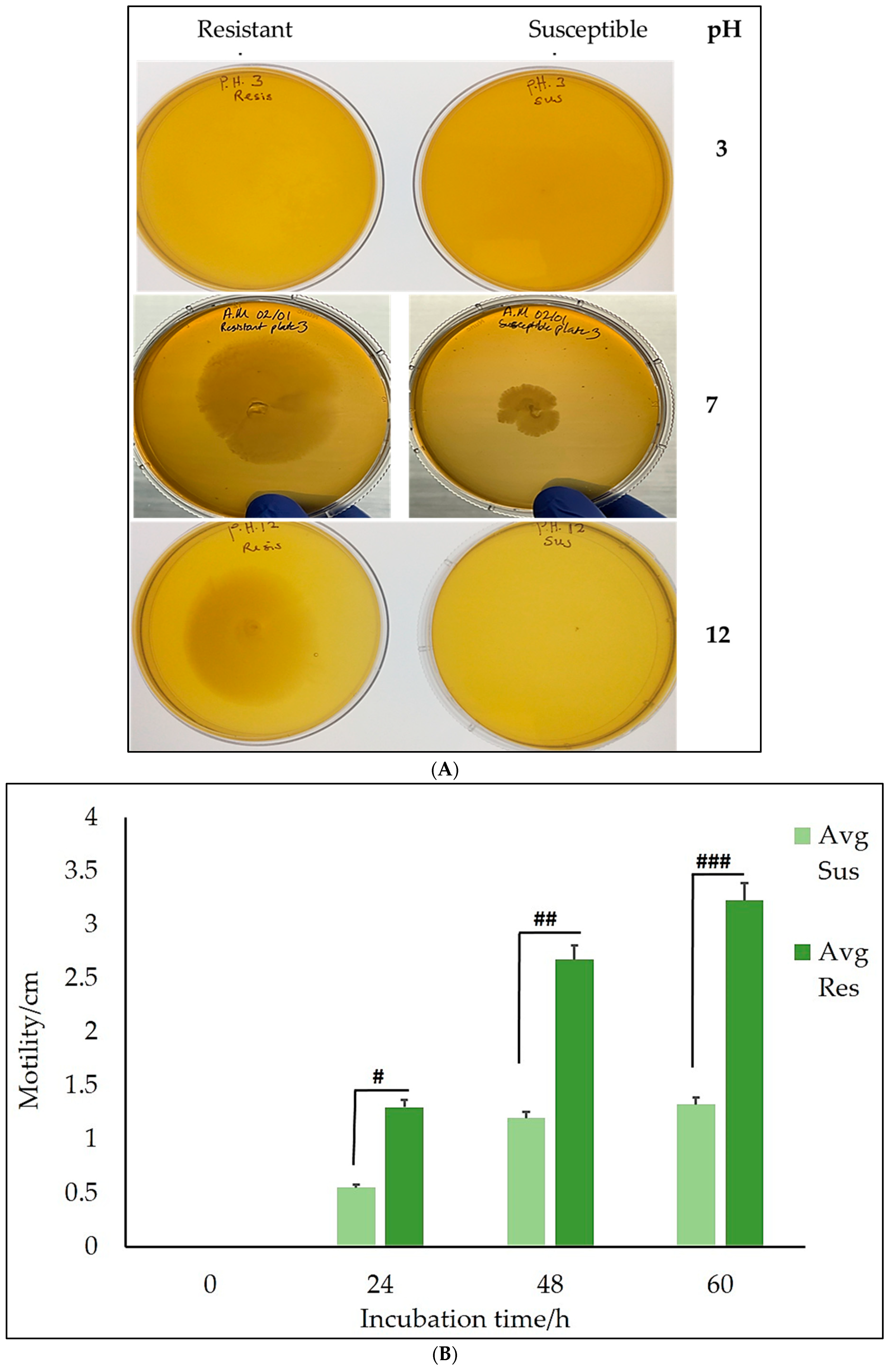 Preprints 107688 g004