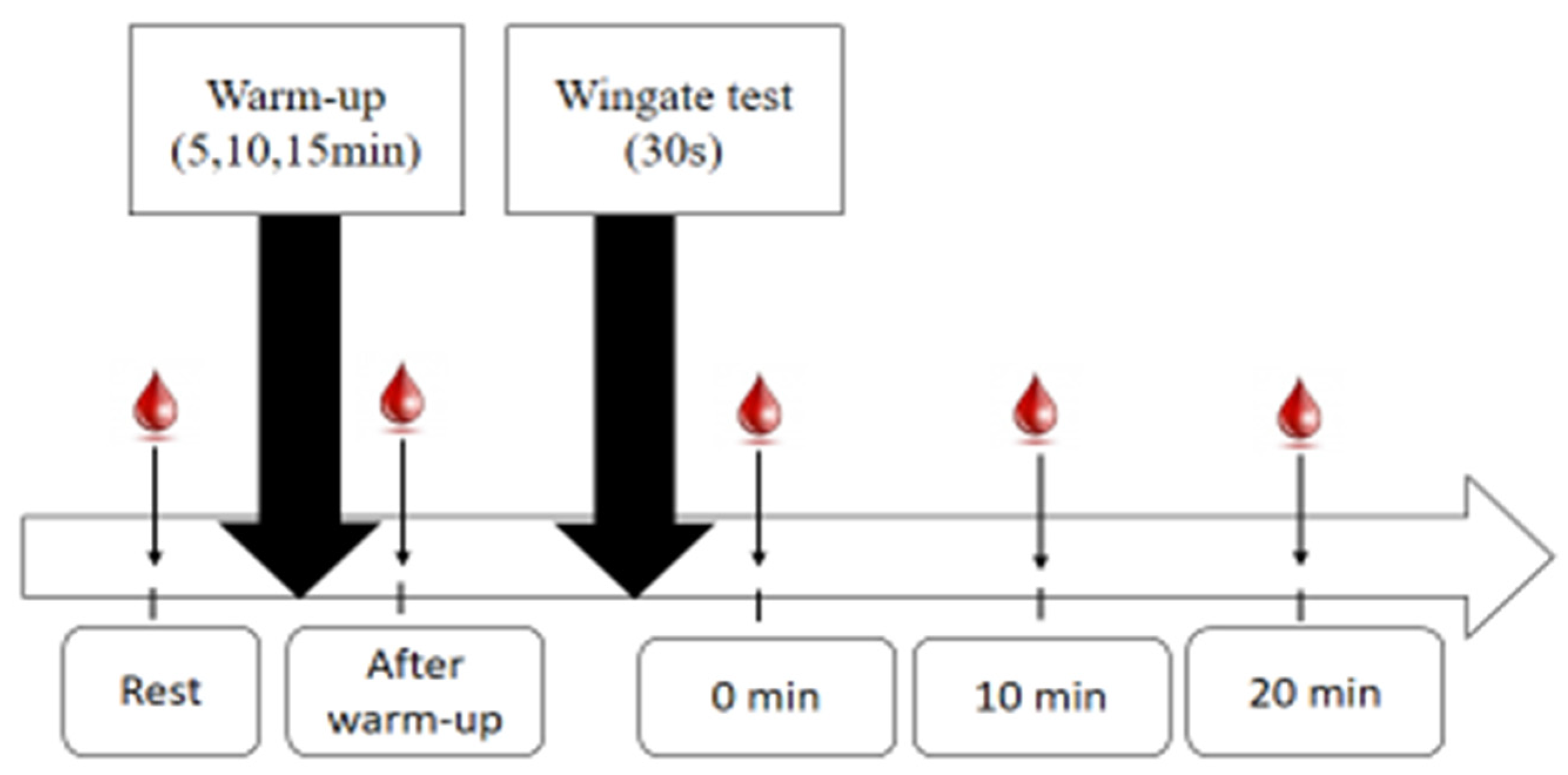 Preprints 80770 g001