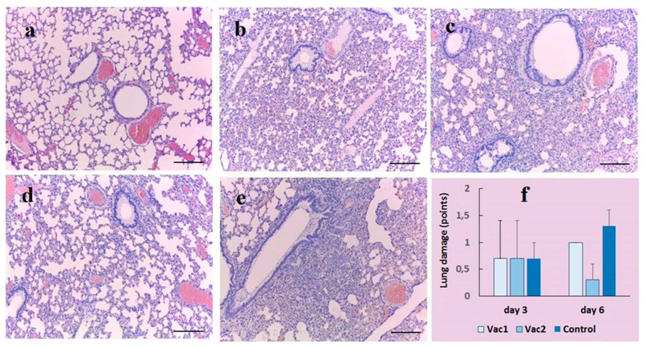 Preprints 88103 g006