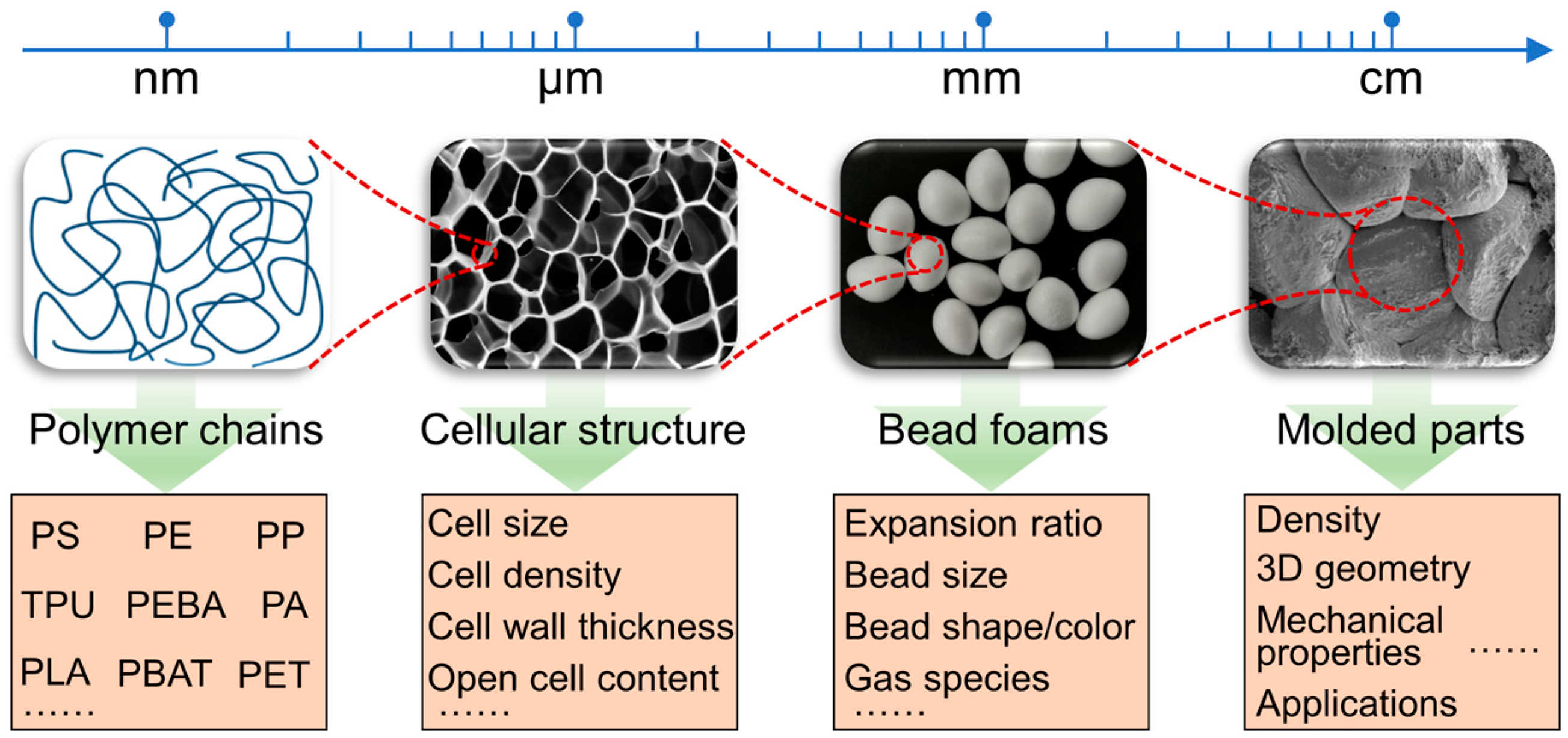 Preprints 84358 g001