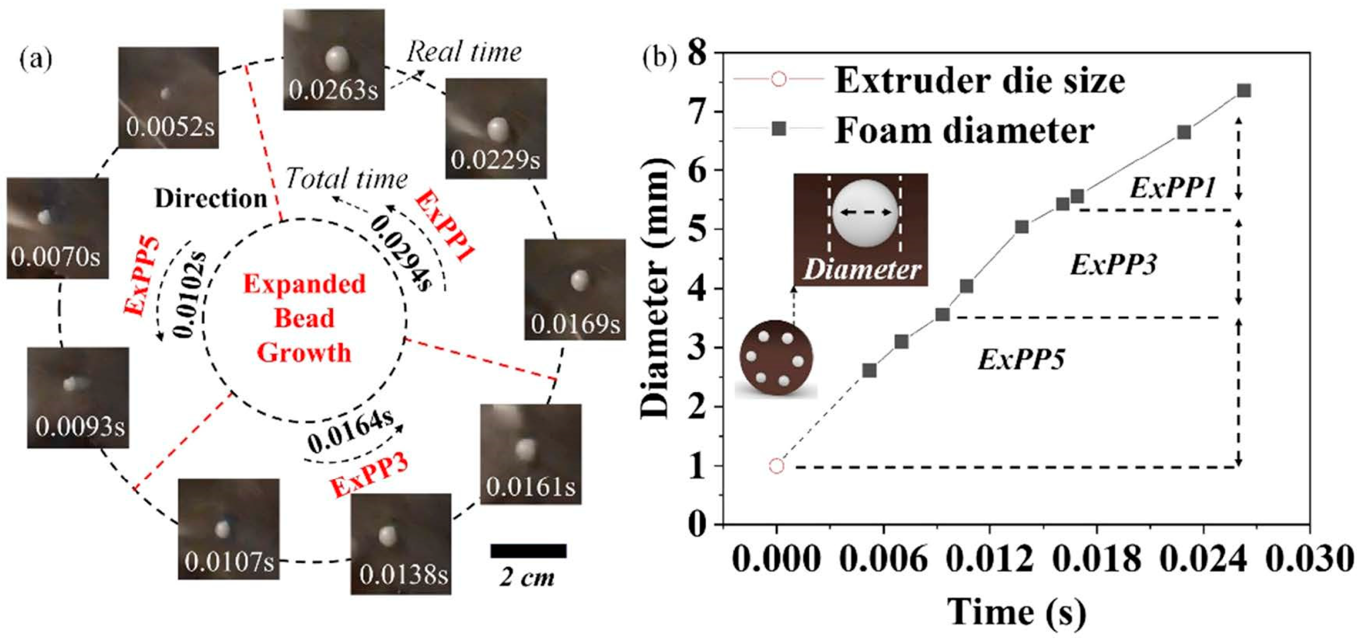 Preprints 84358 g004