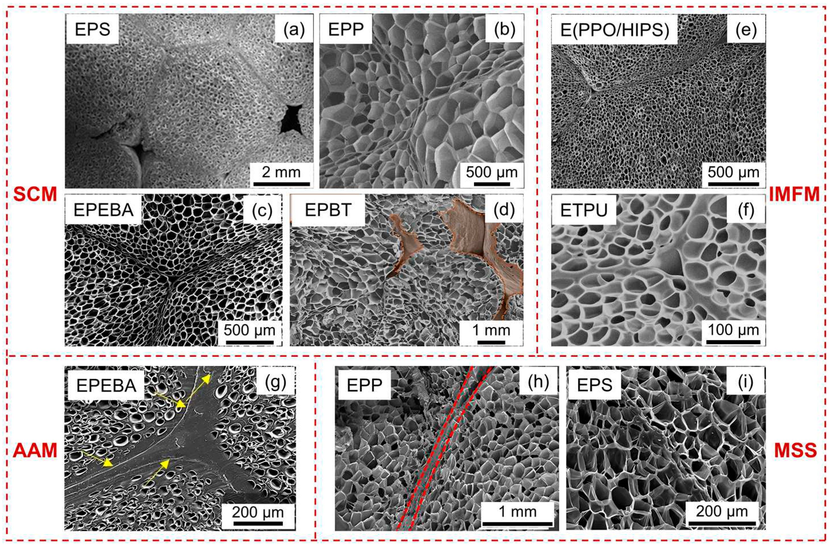 Preprints 84358 g014