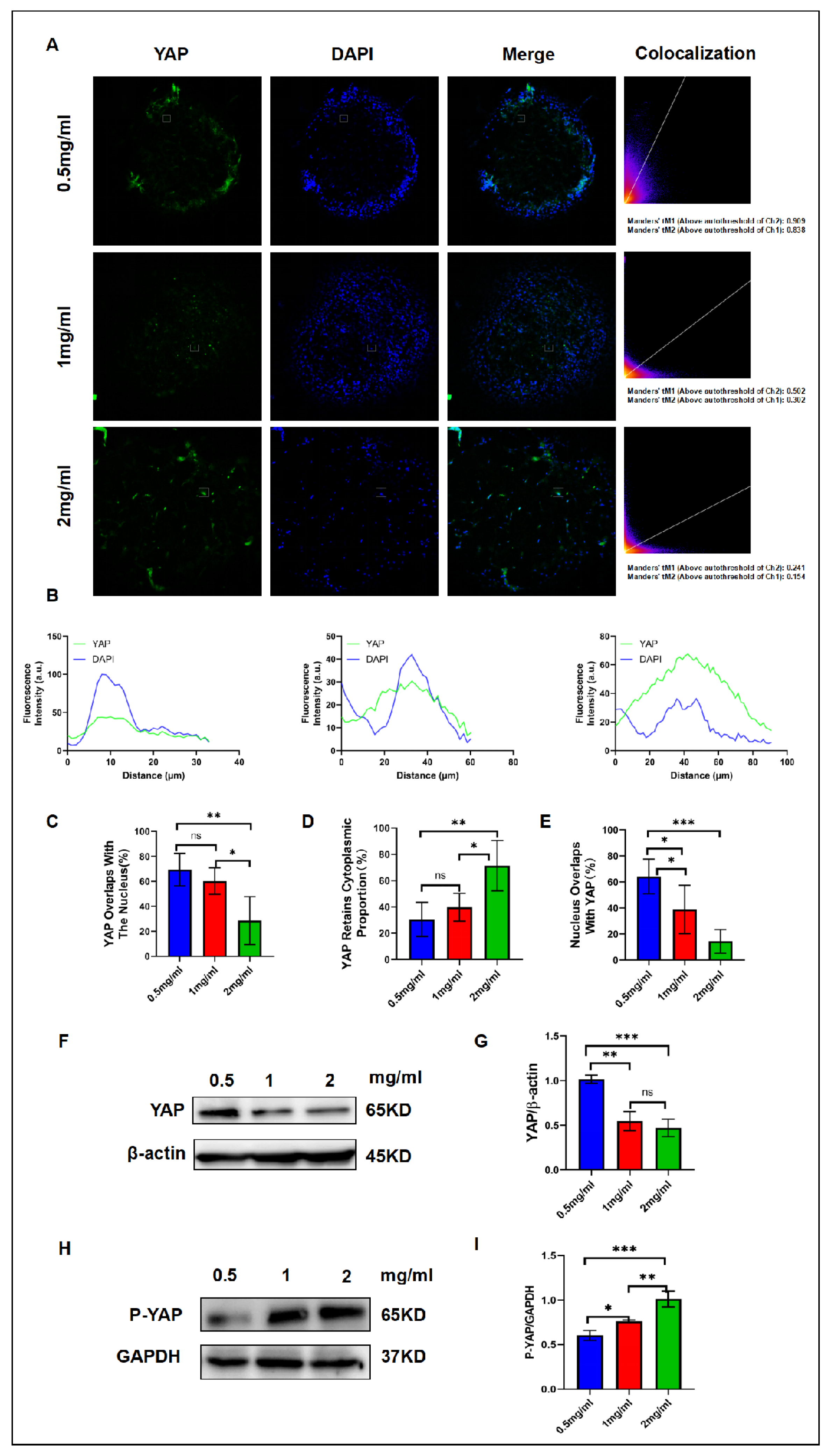 Preprints 120245 g003