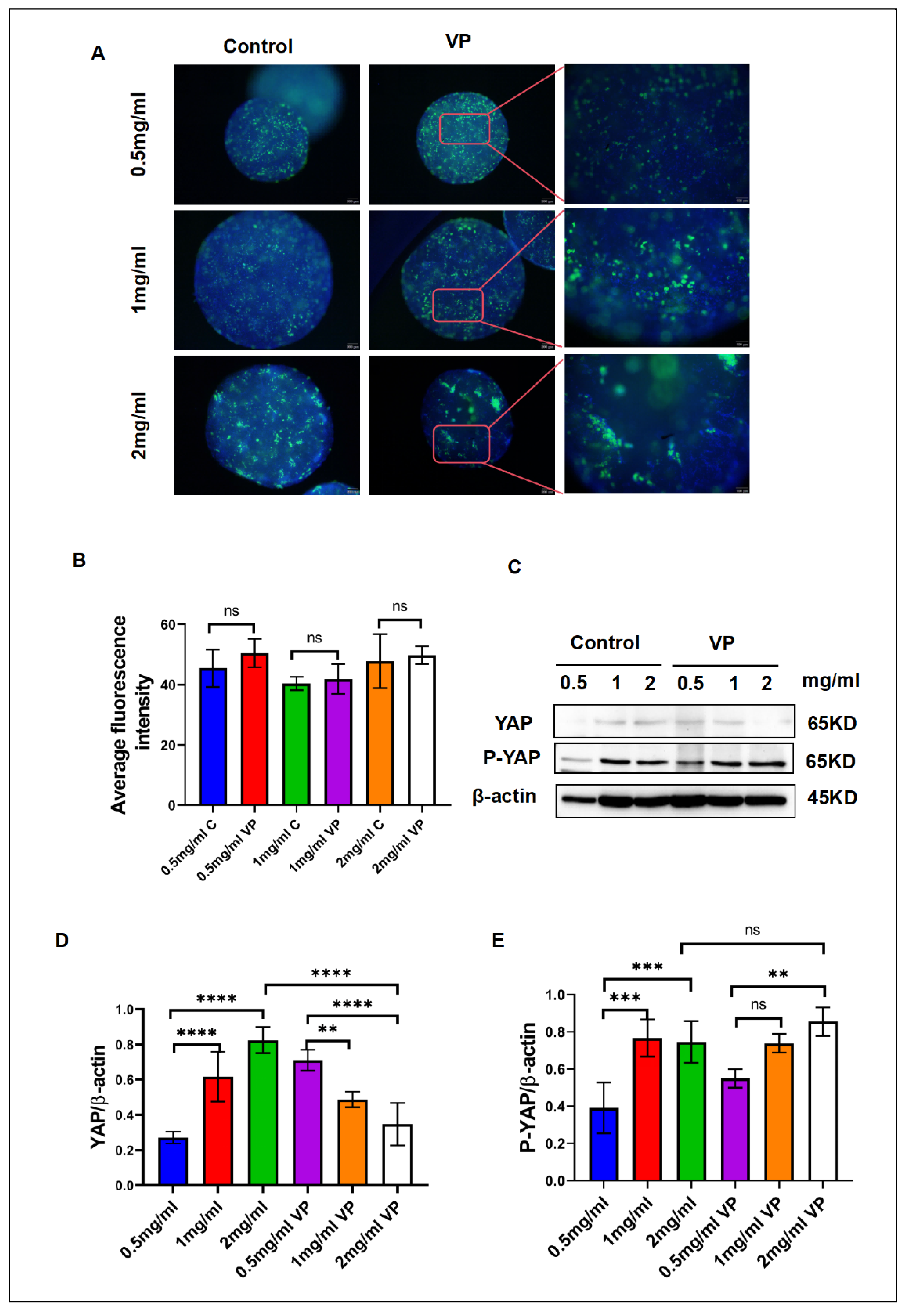 Preprints 120245 g004