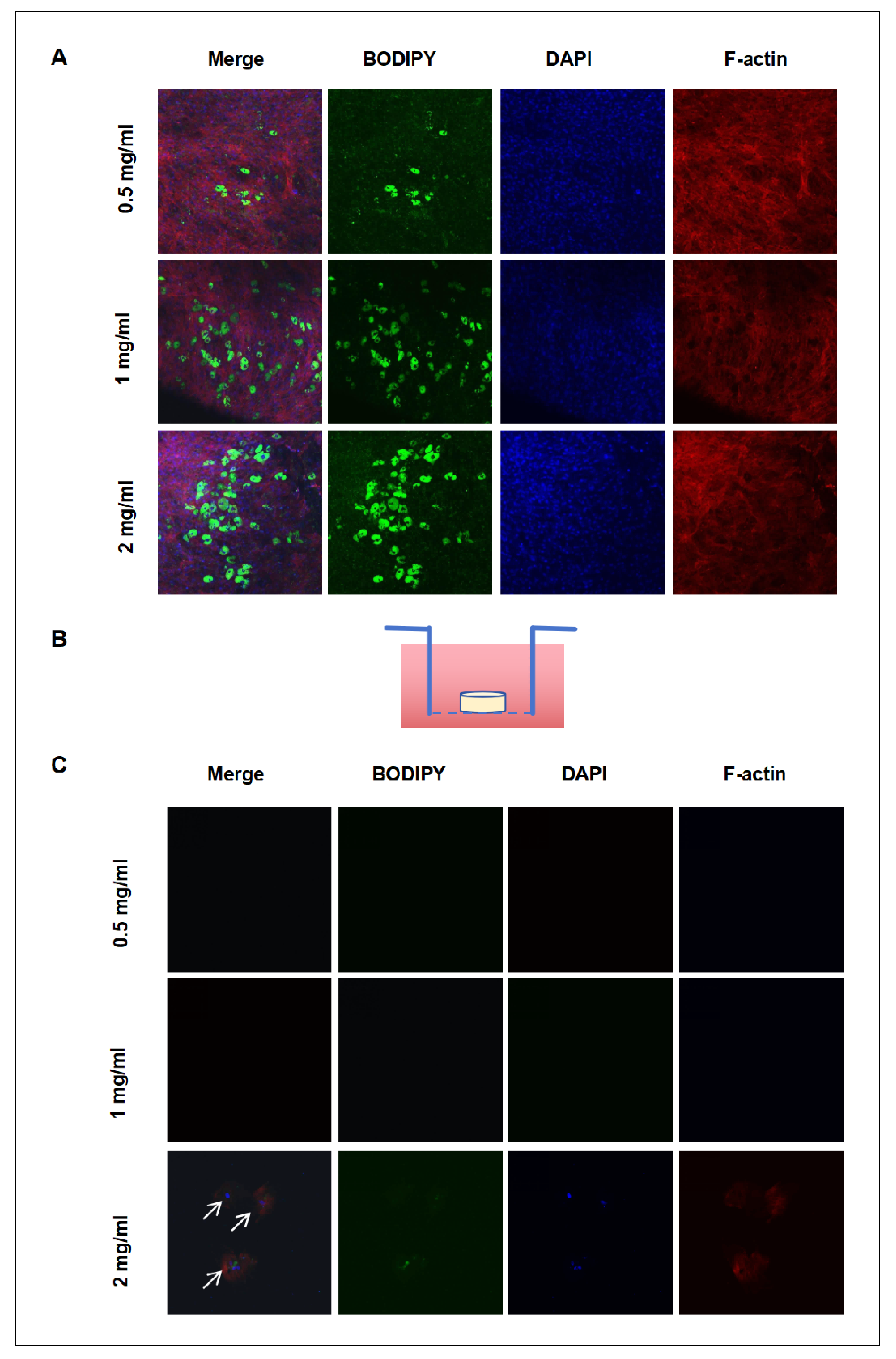 Preprints 120245 g005