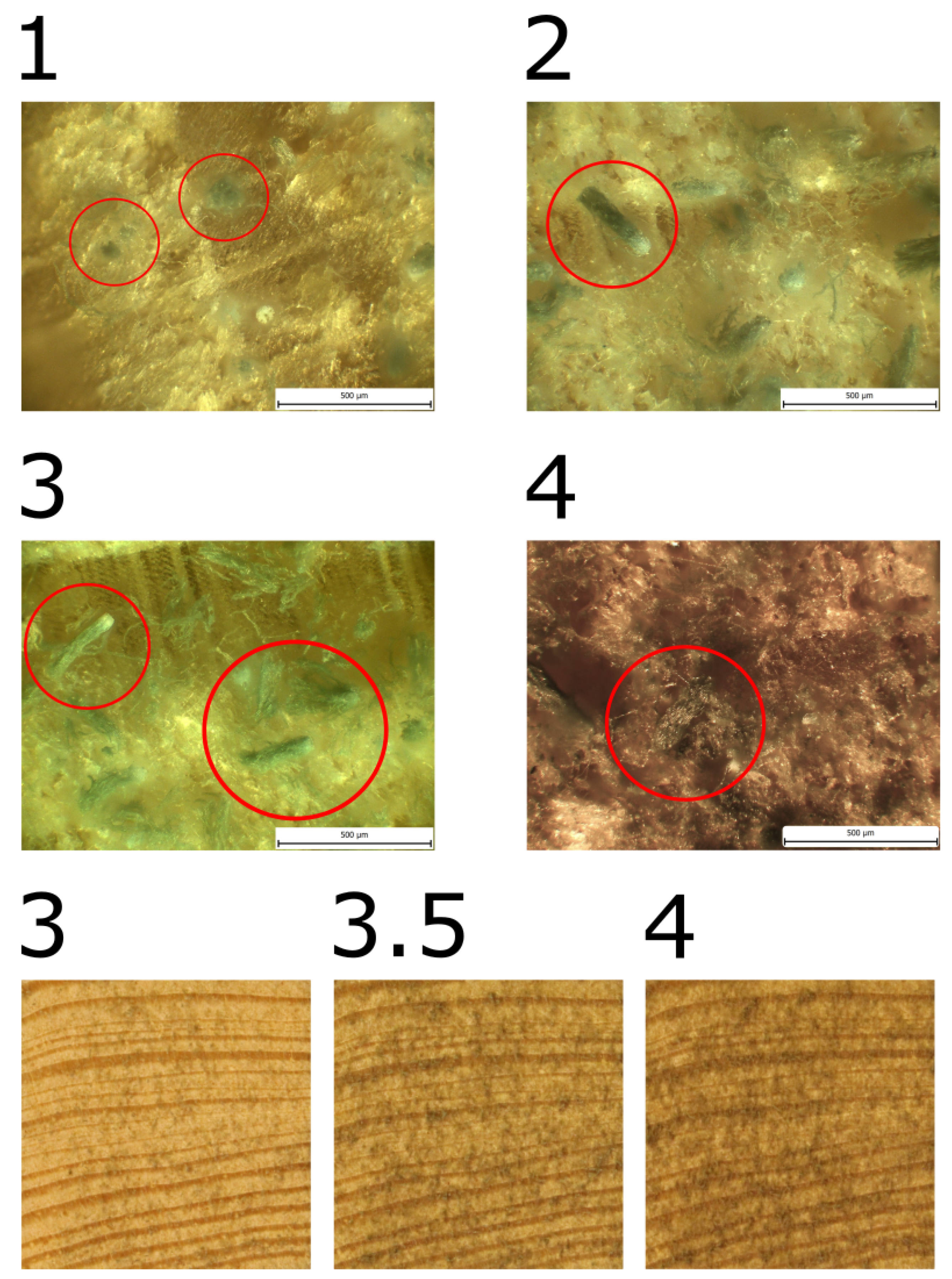 Preprints 114998 g006