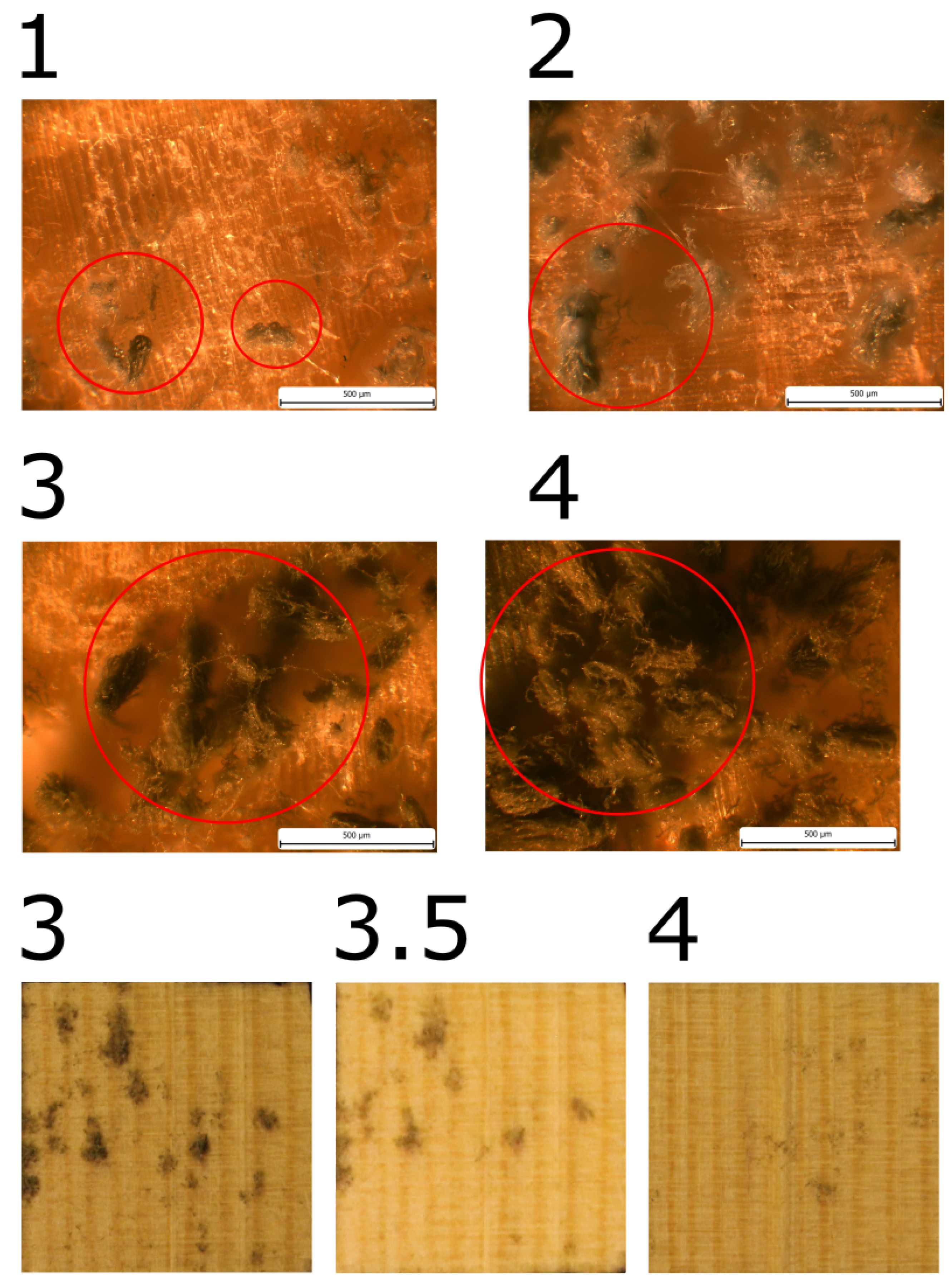 Preprints 114998 g007