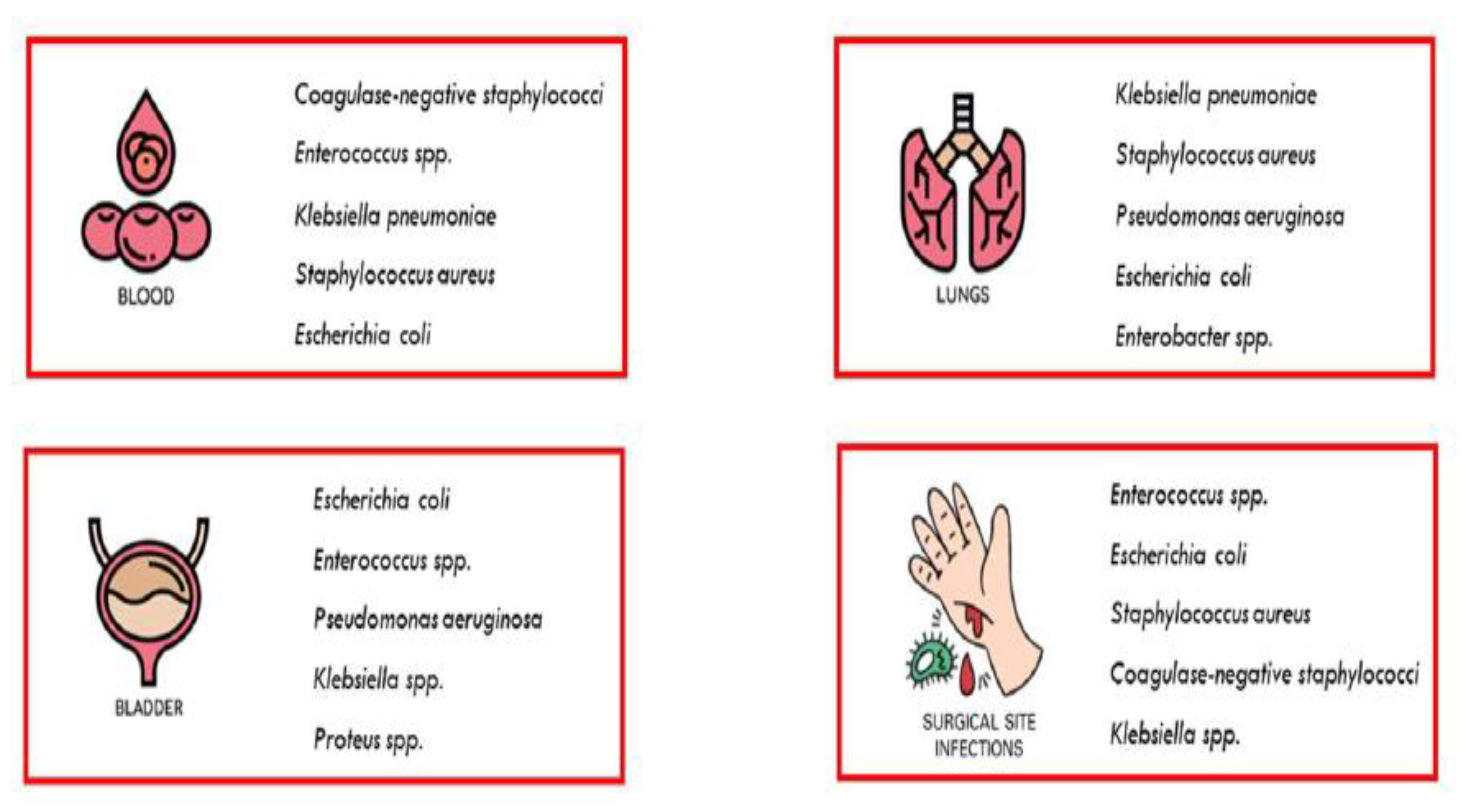 Preprints 74124 g001