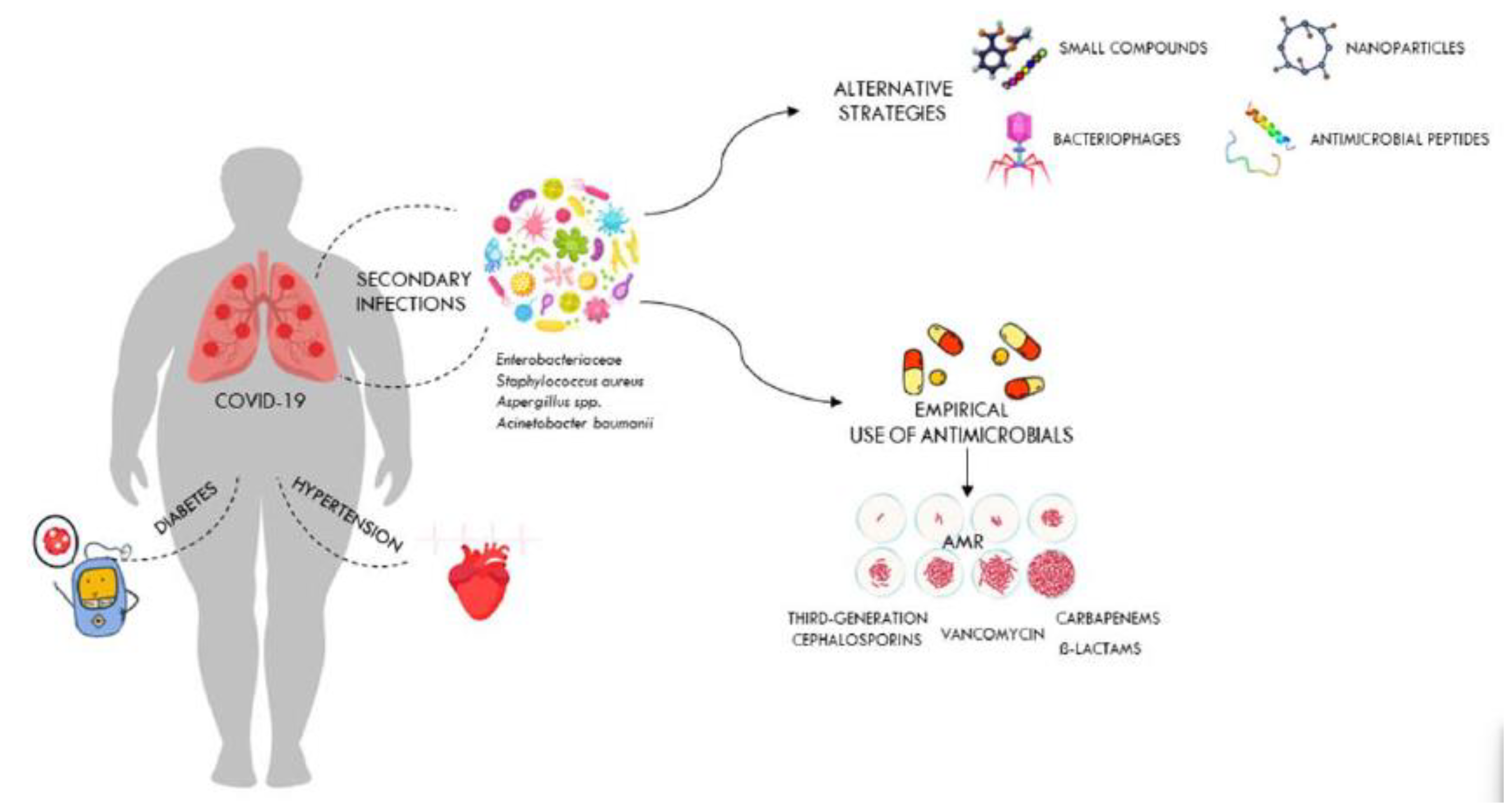 Preprints 74124 g002