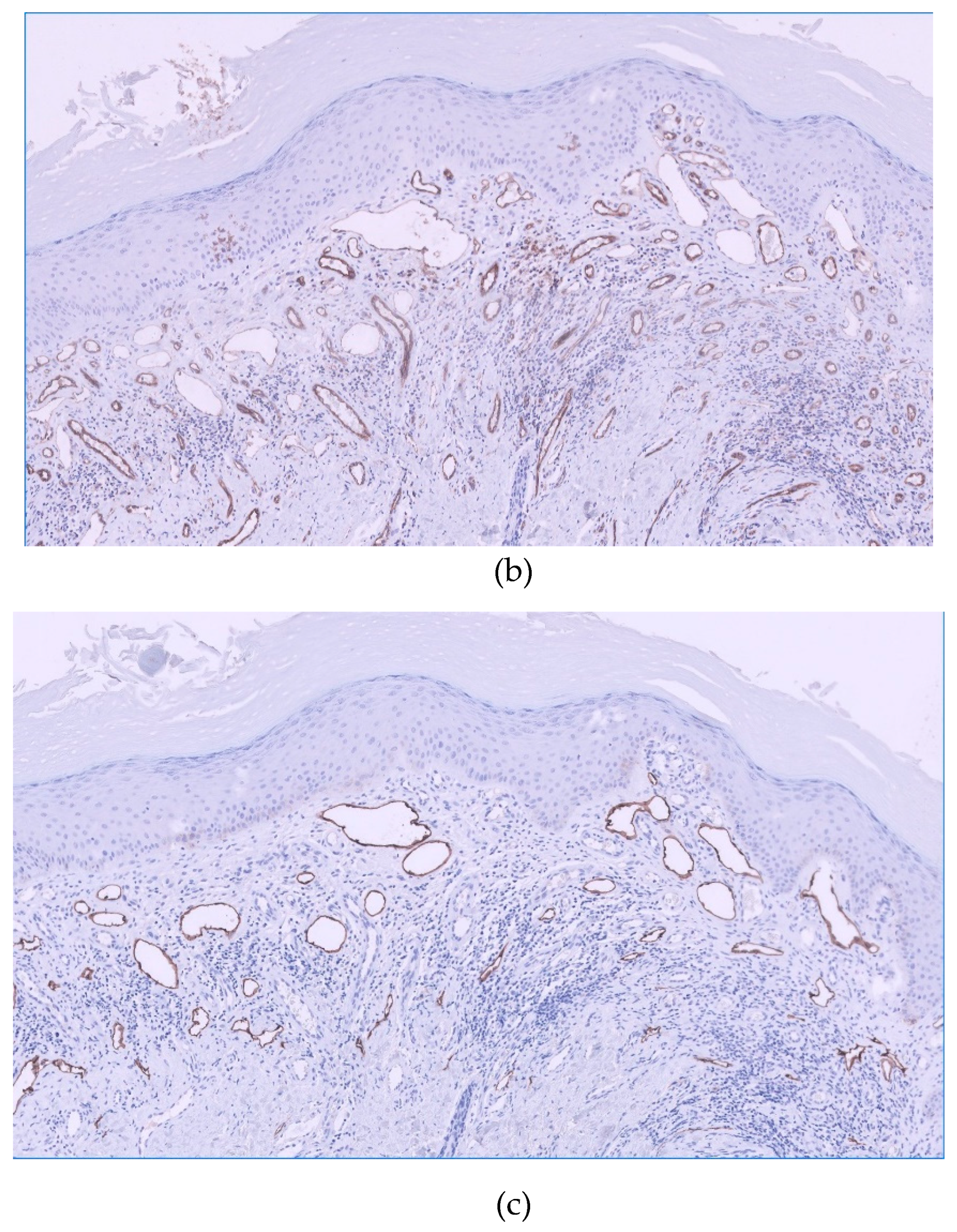 Preprints 105620 g002b