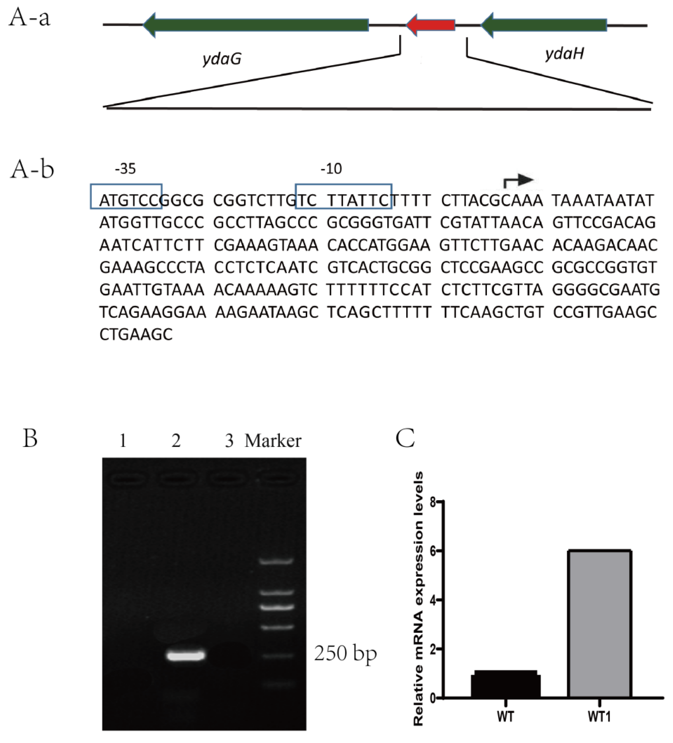 Preprints 70976 g001