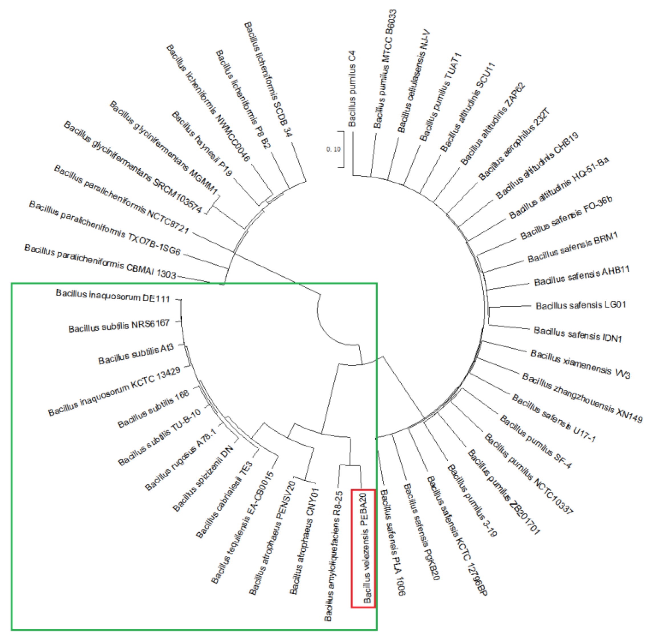 Preprints 70976 g002