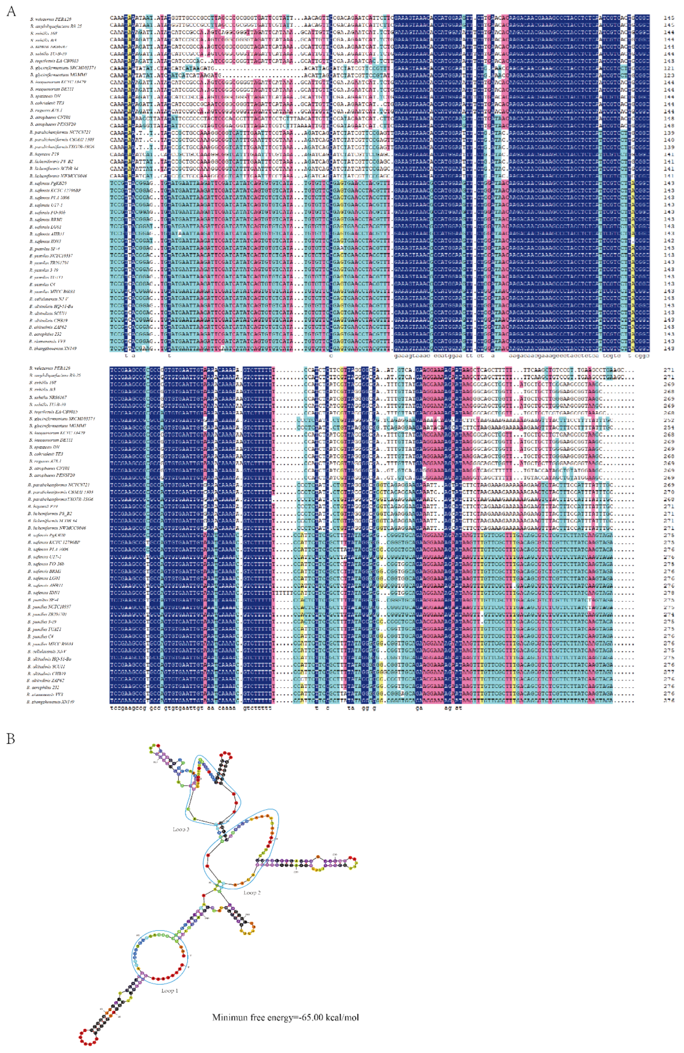 Preprints 70976 g003