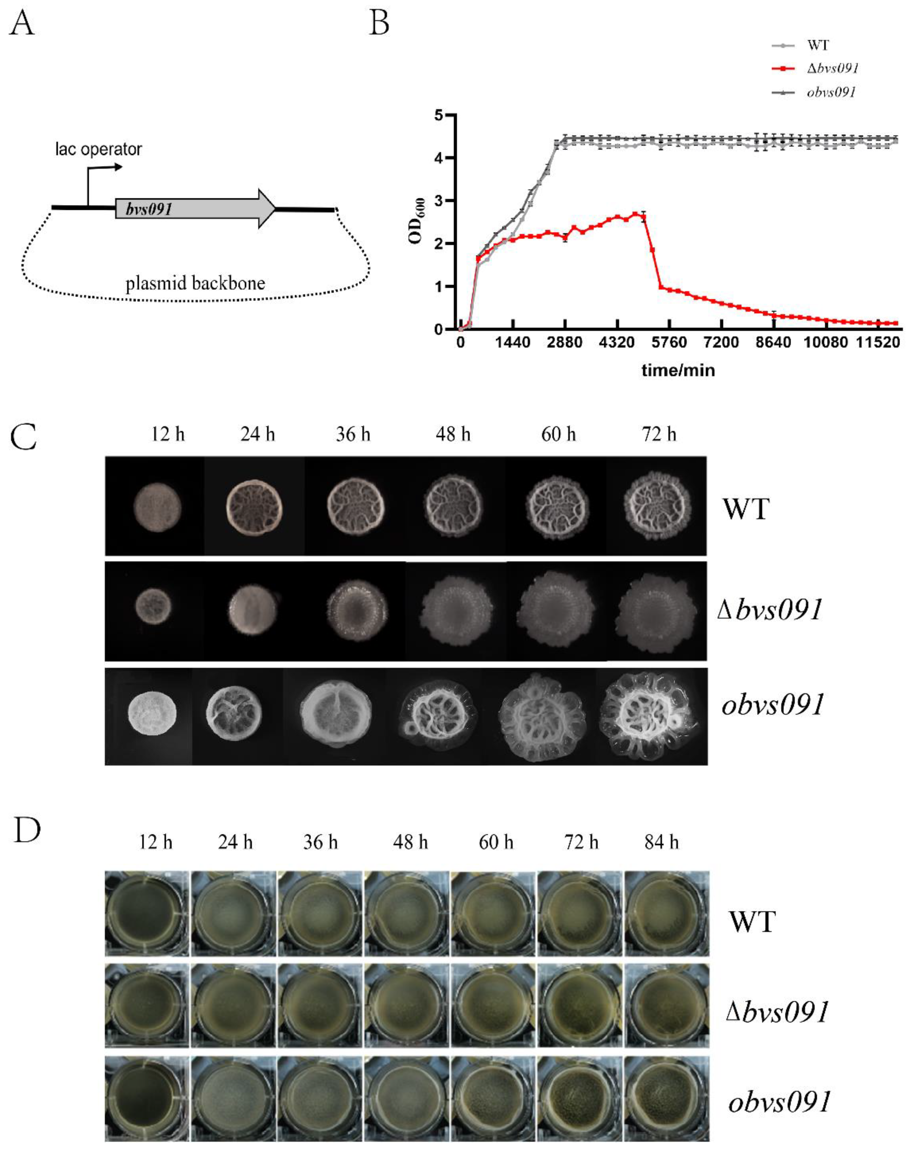 Preprints 70976 g004