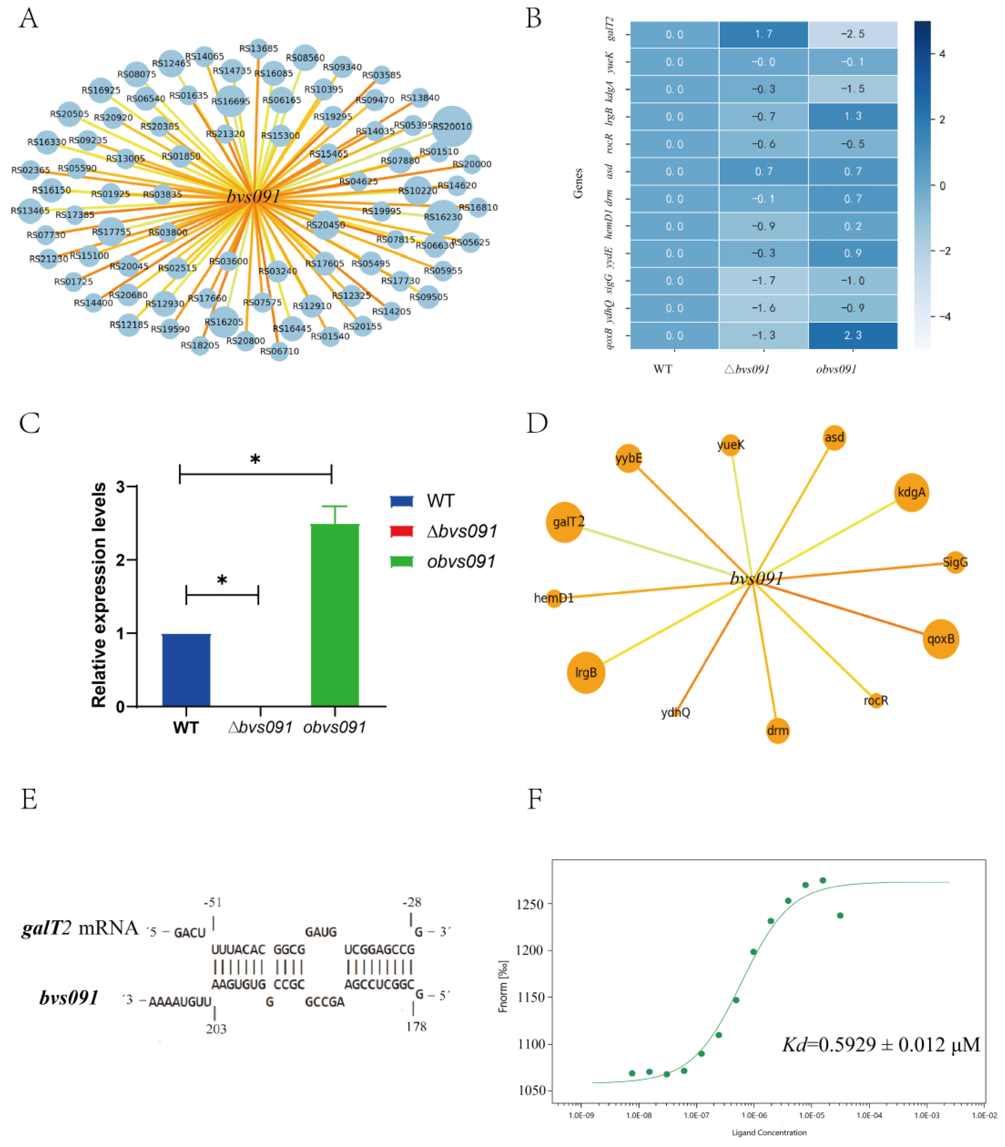 Preprints 70976 g006