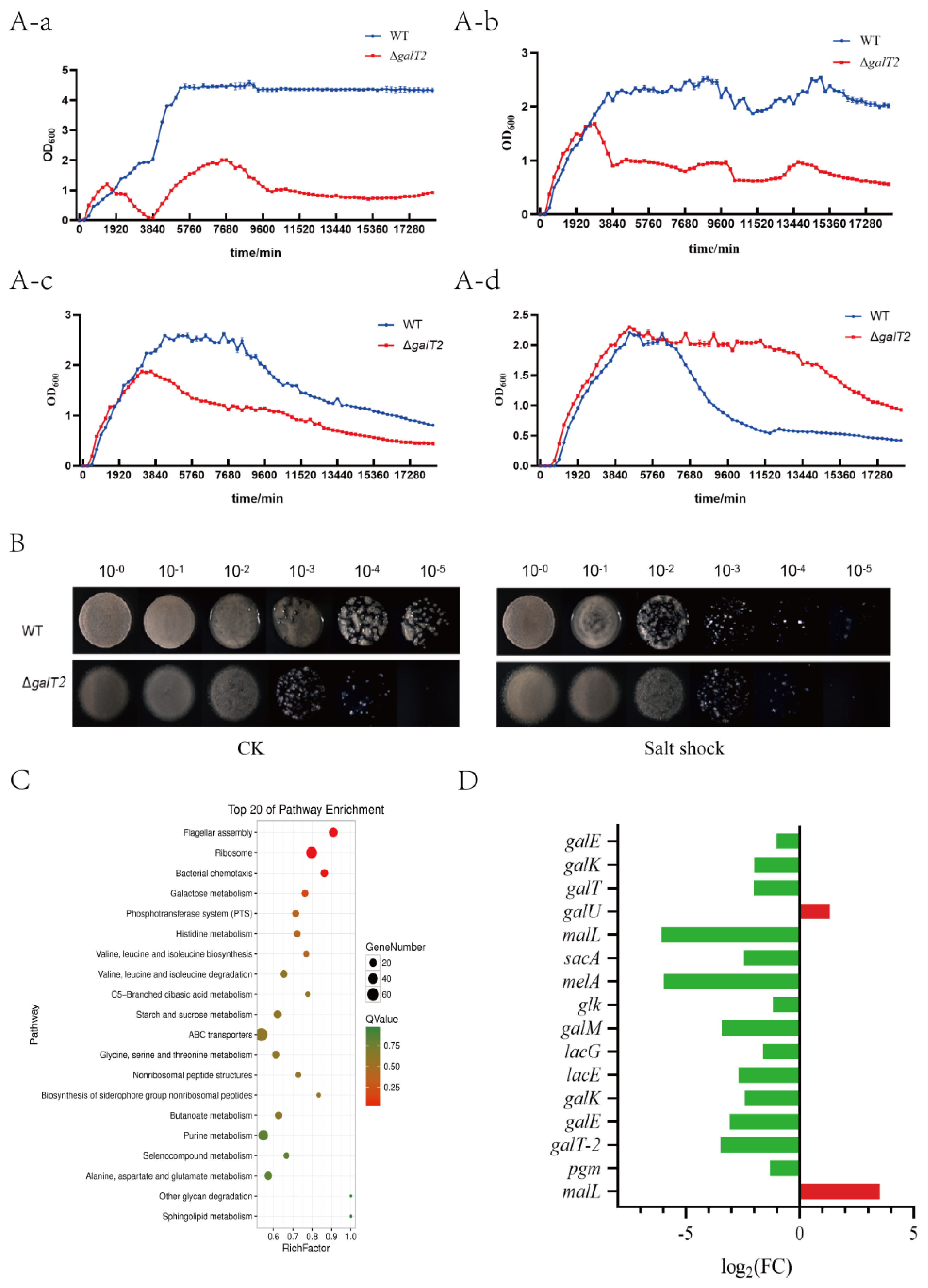 Preprints 70976 g007