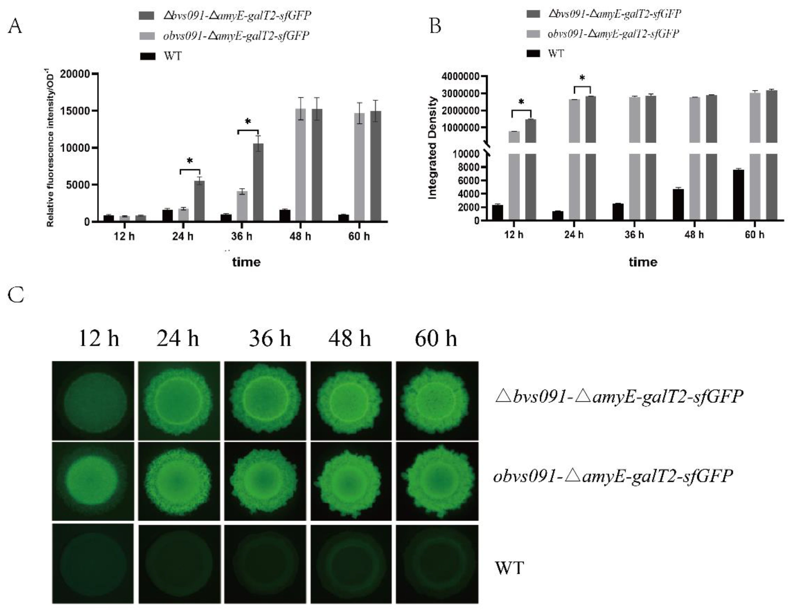 Preprints 70976 g009