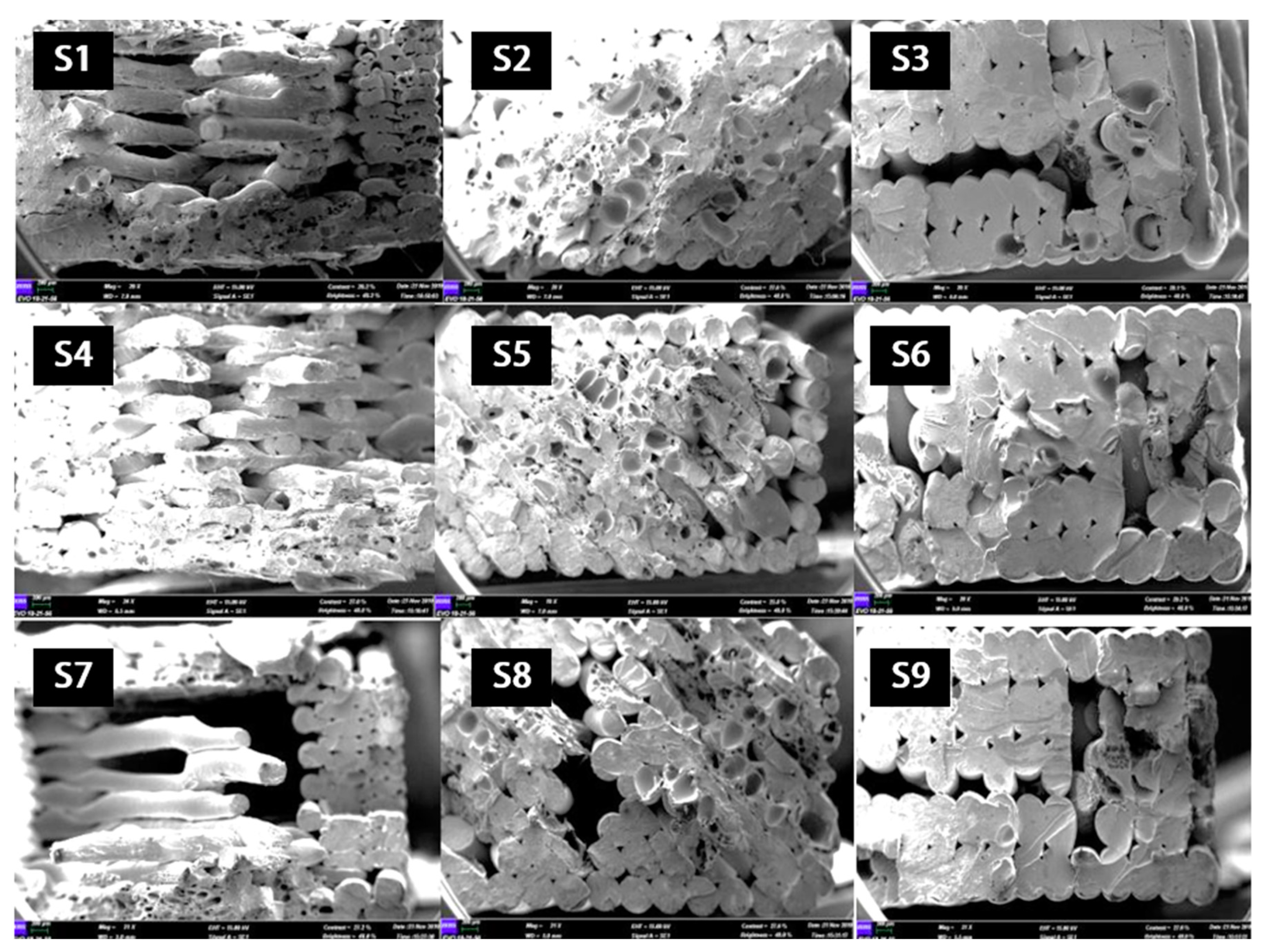 Preprints 87407 g005