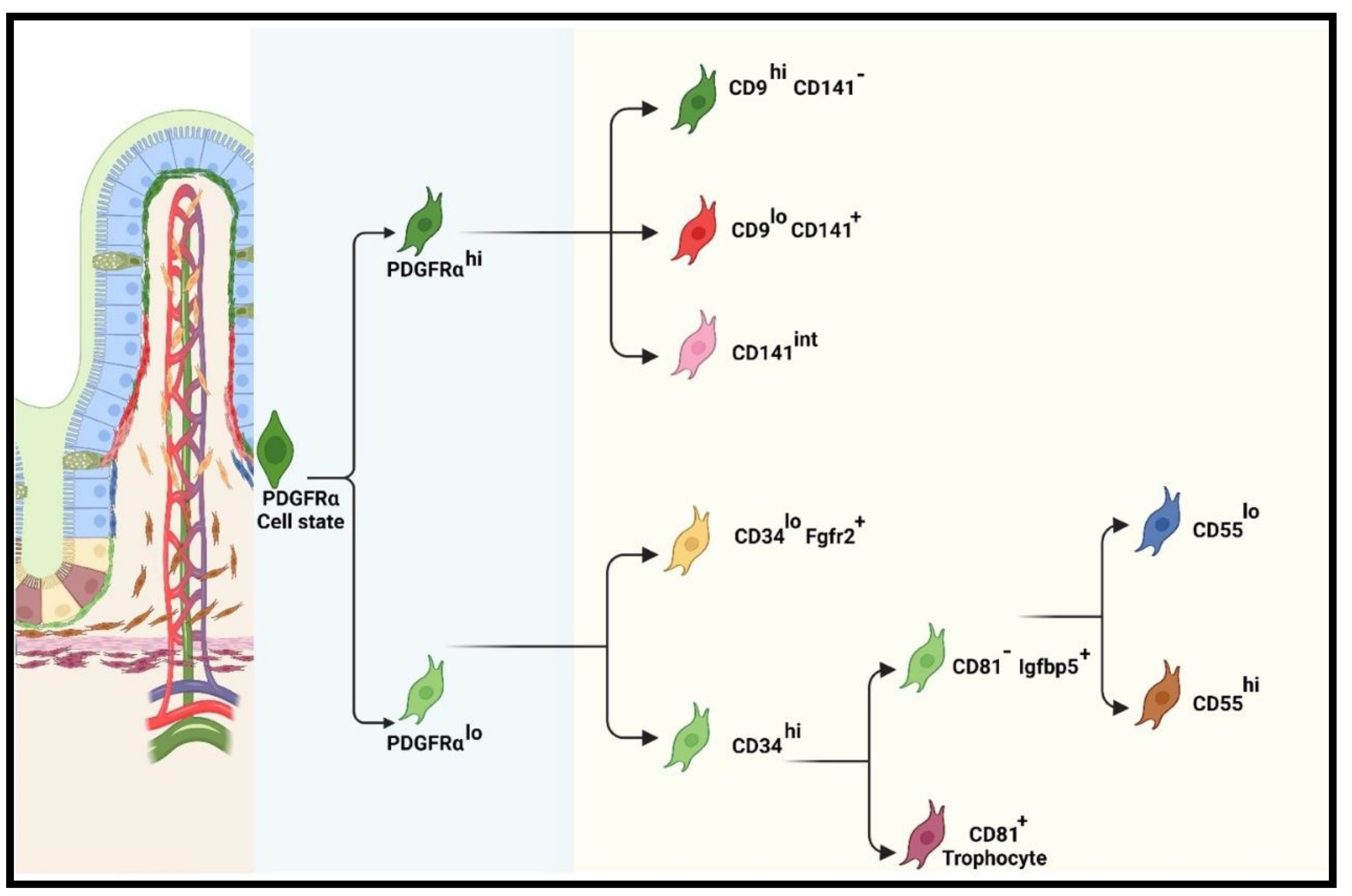 Preprints 98256 g003