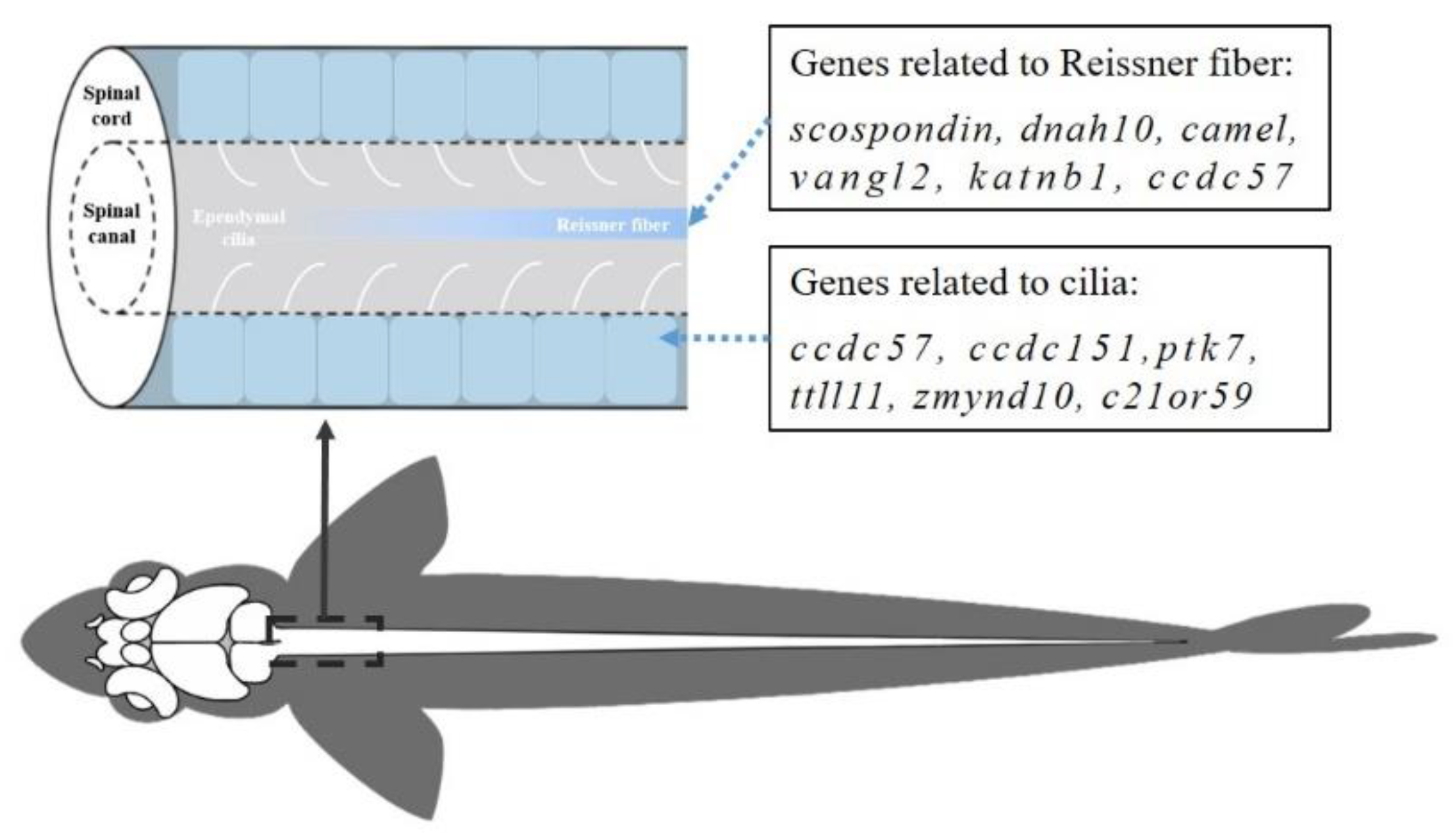 Preprints 79394 g001