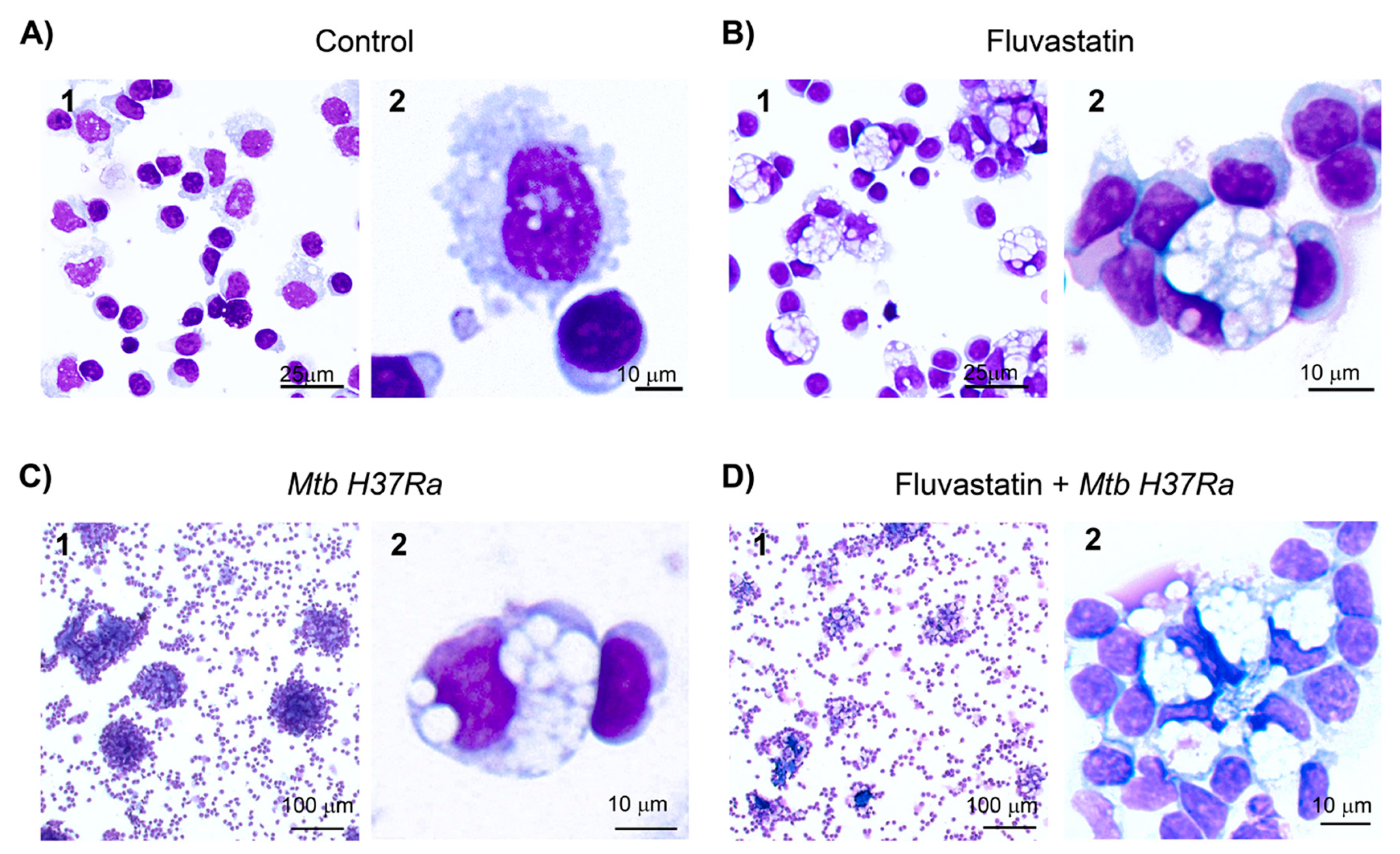 Preprints 90482 g001