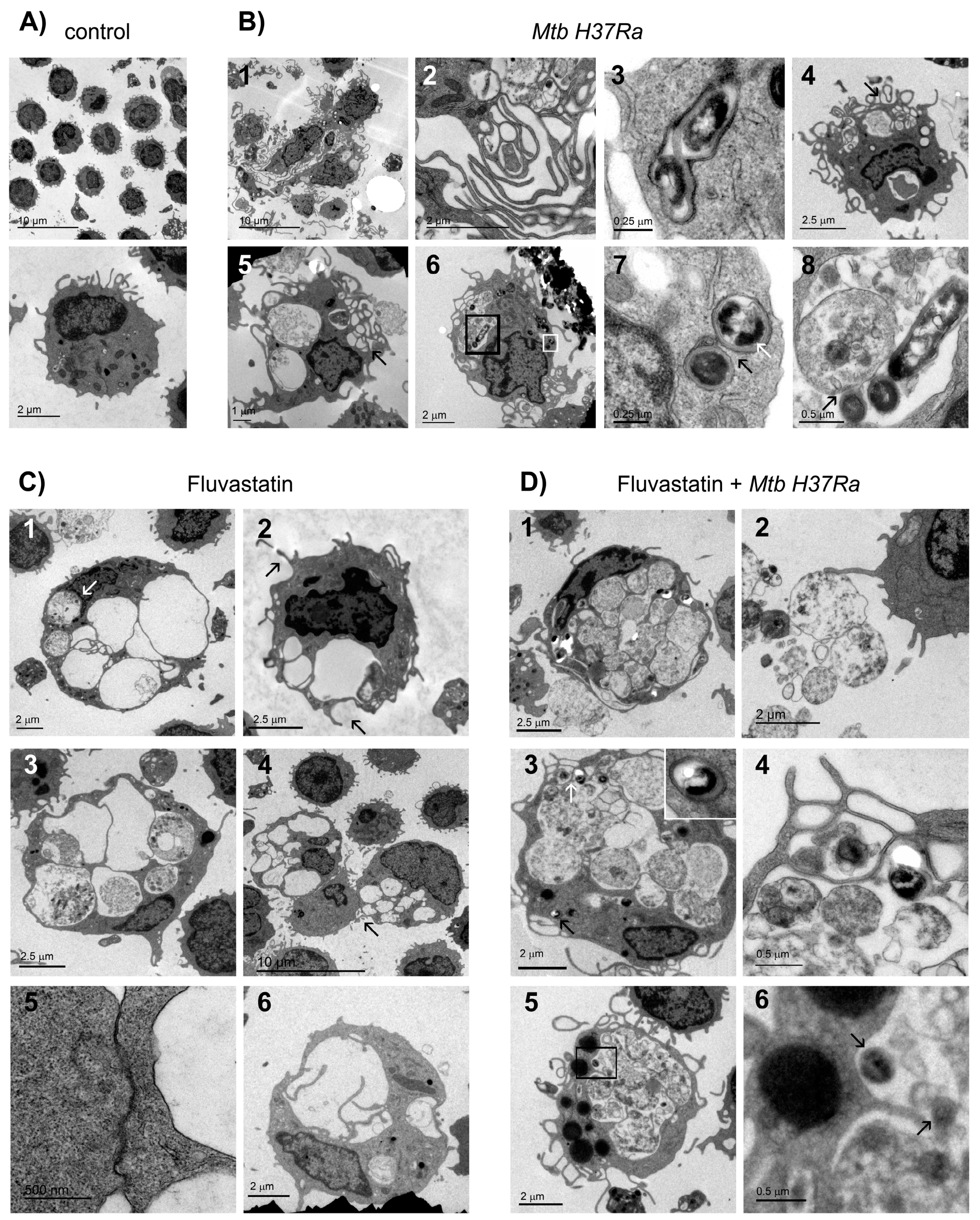 Preprints 90482 g003