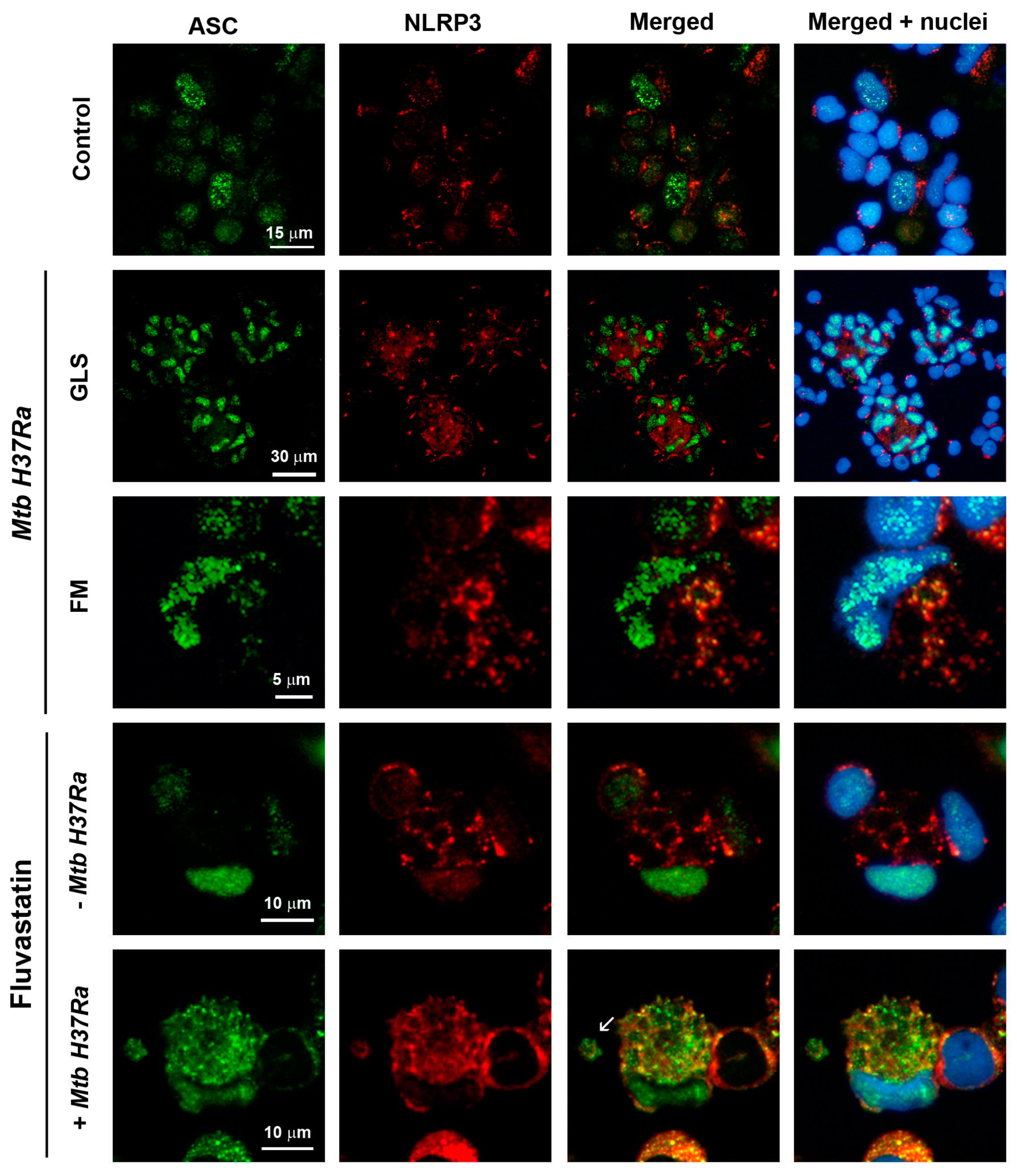 Preprints 90482 g004