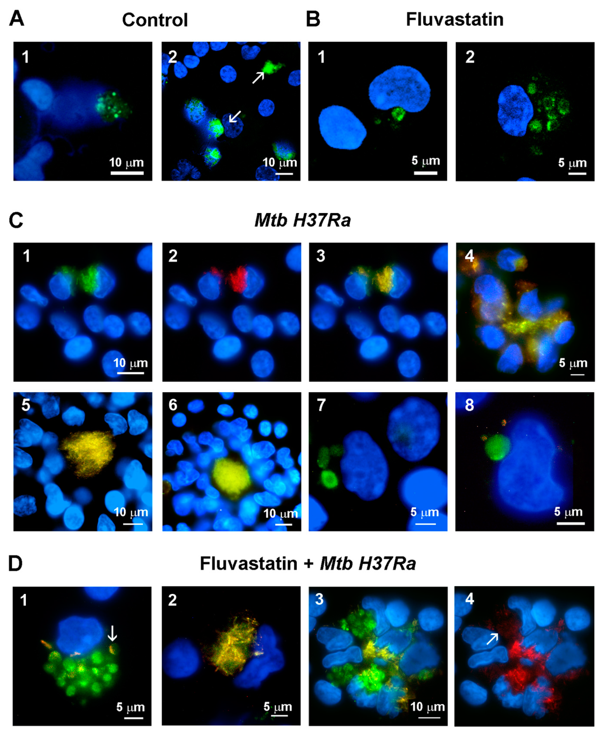 Preprints 90482 g005