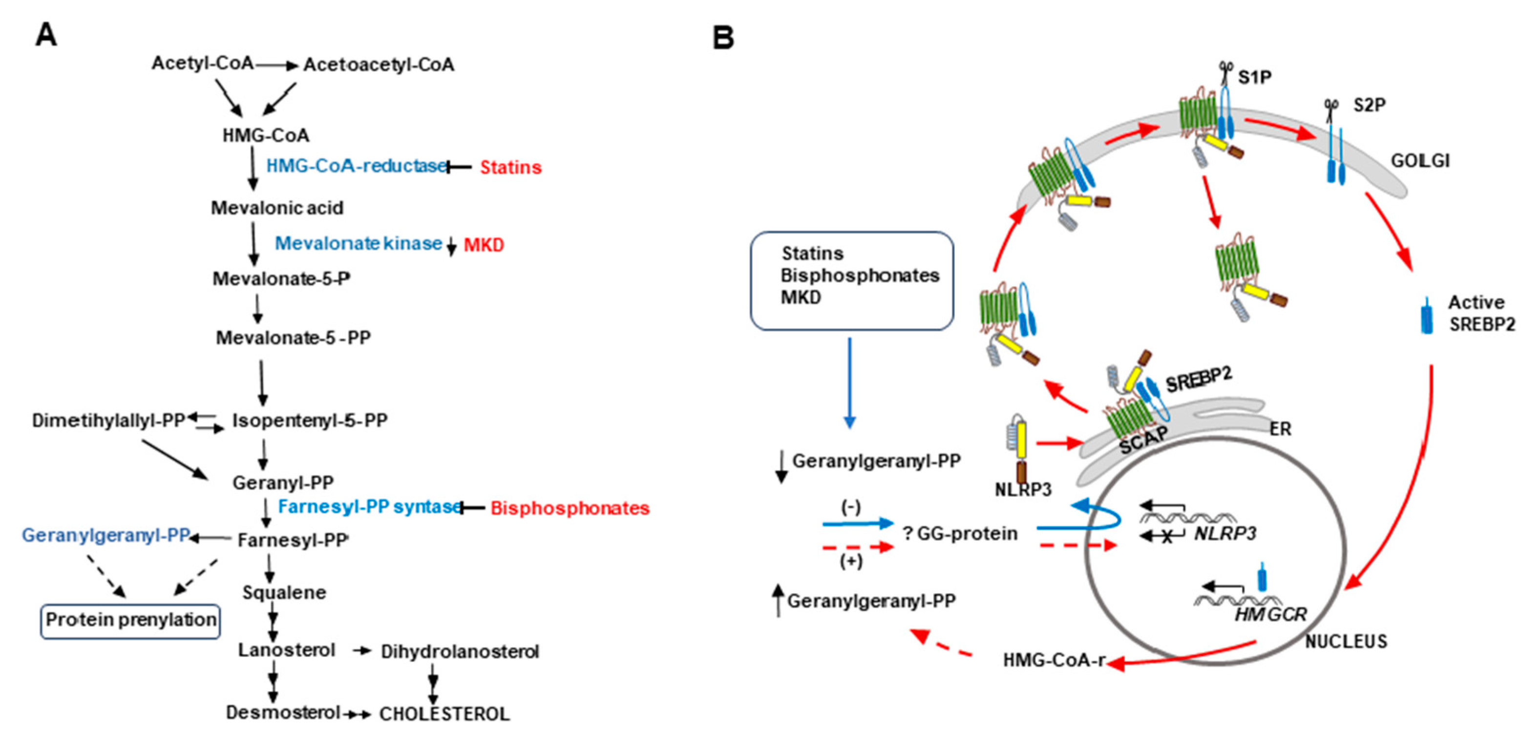 Preprints 90482 g008