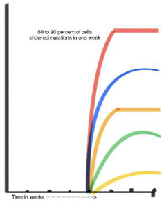 Preprints 118280 g010