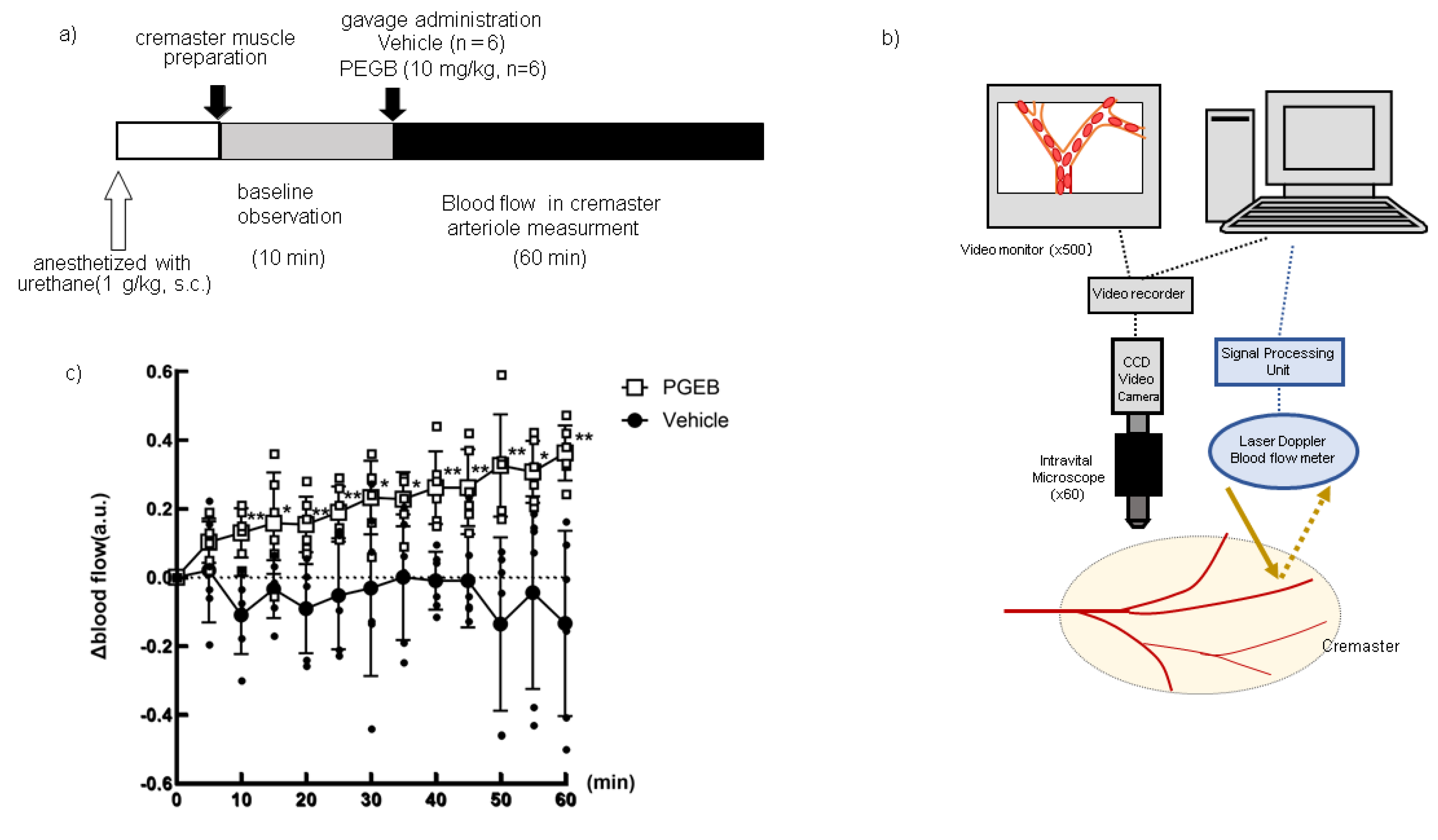 Preprints 102017 g004