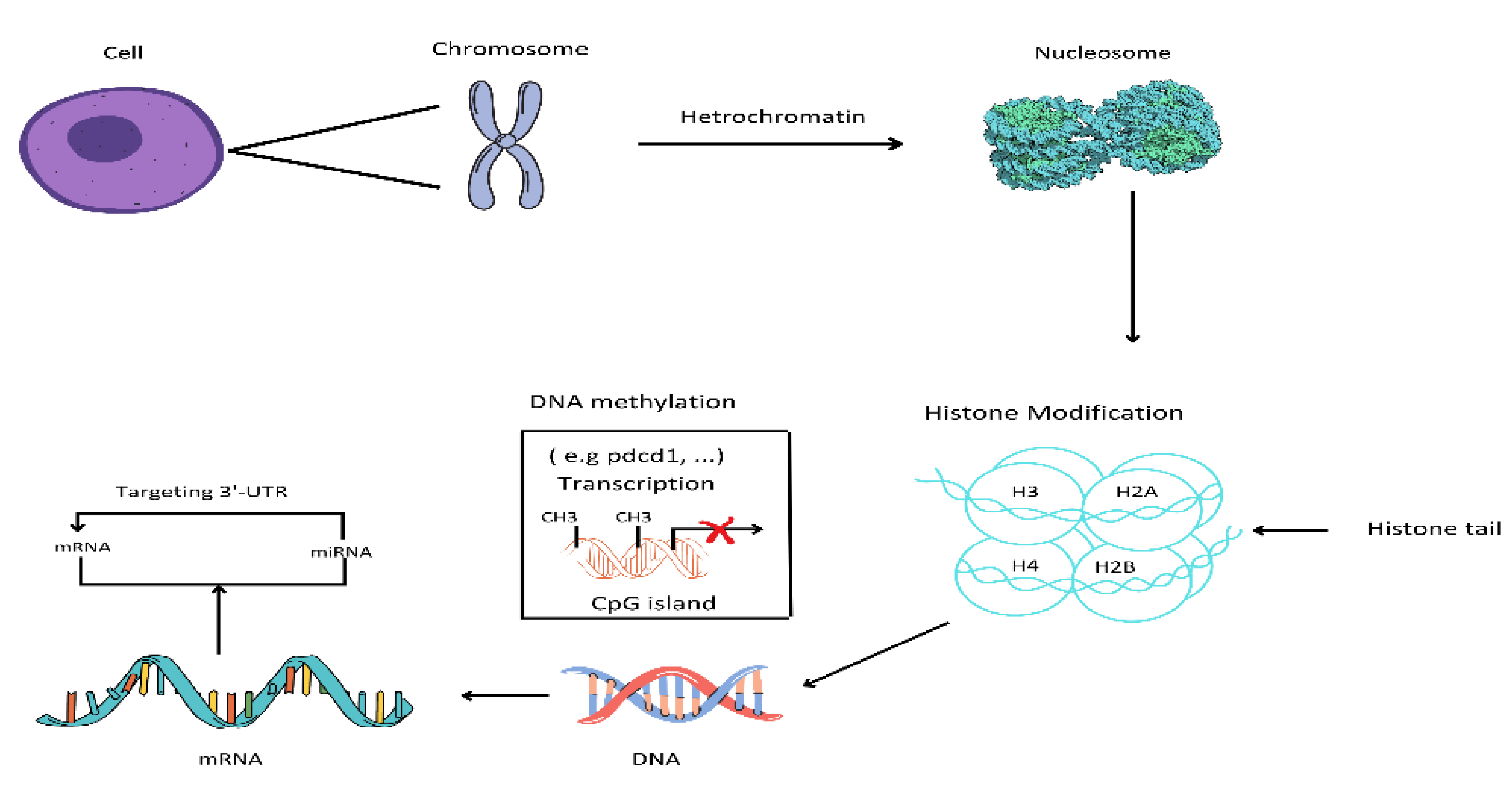 Preprints 76240 g001