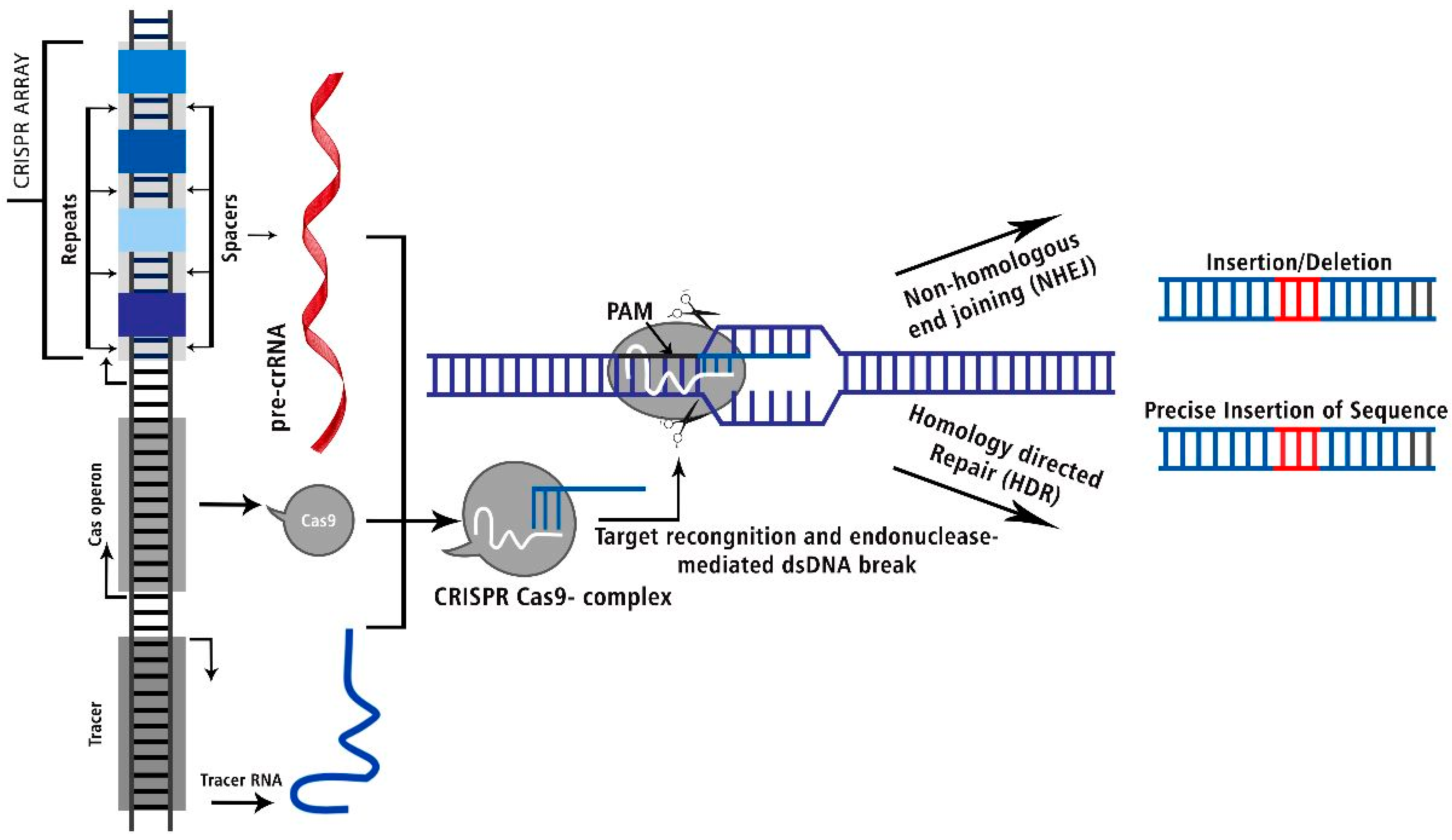 Preprints 103725 g001