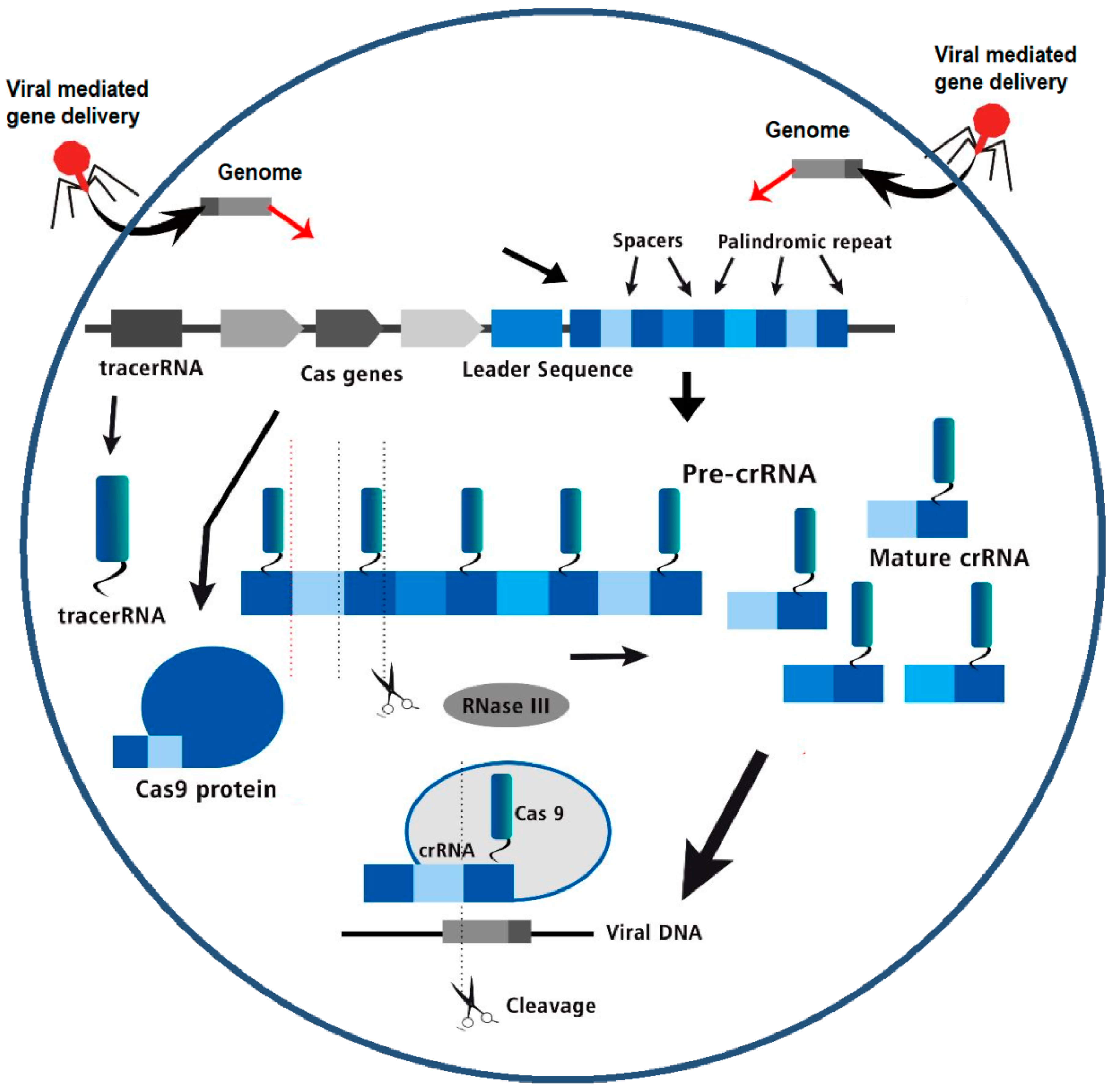 Preprints 103725 g002