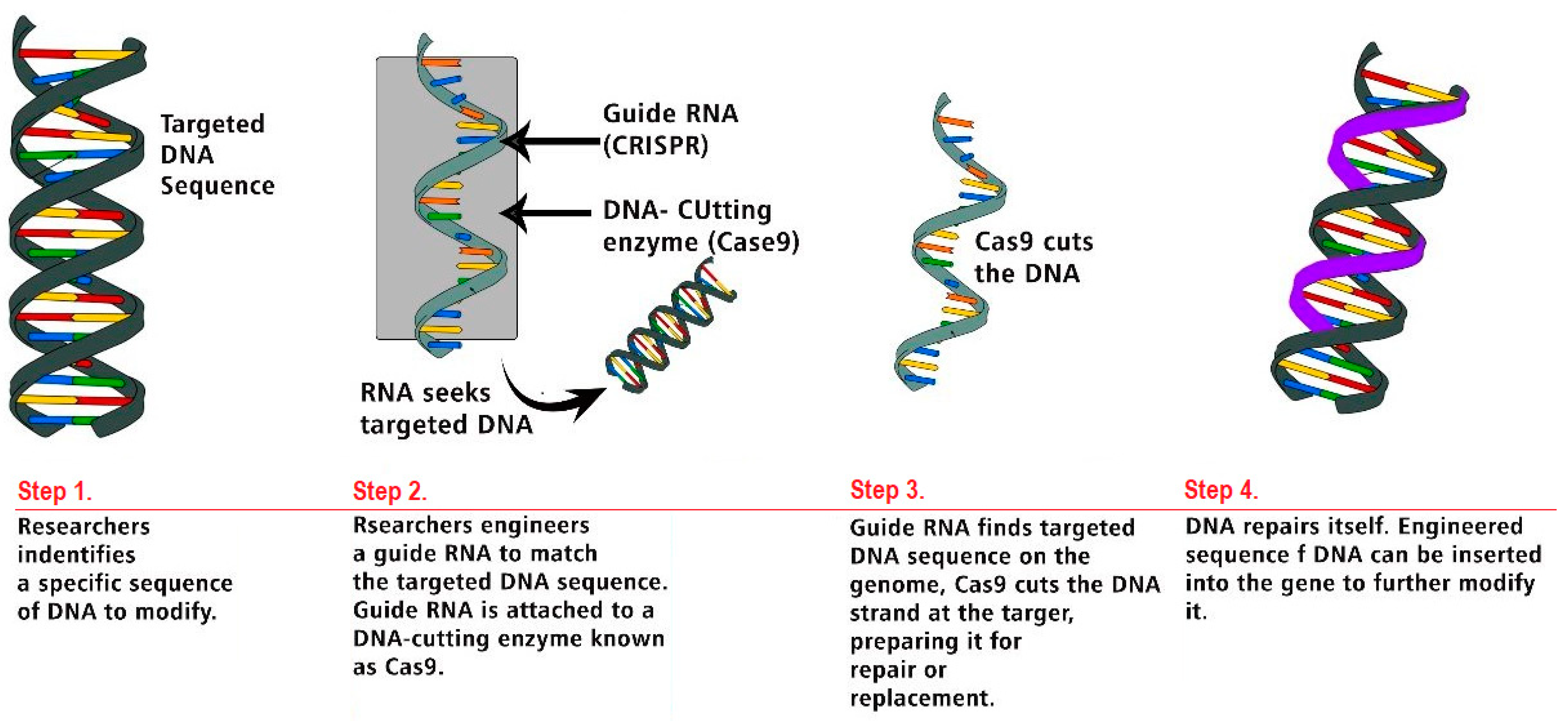 Preprints 103725 g003