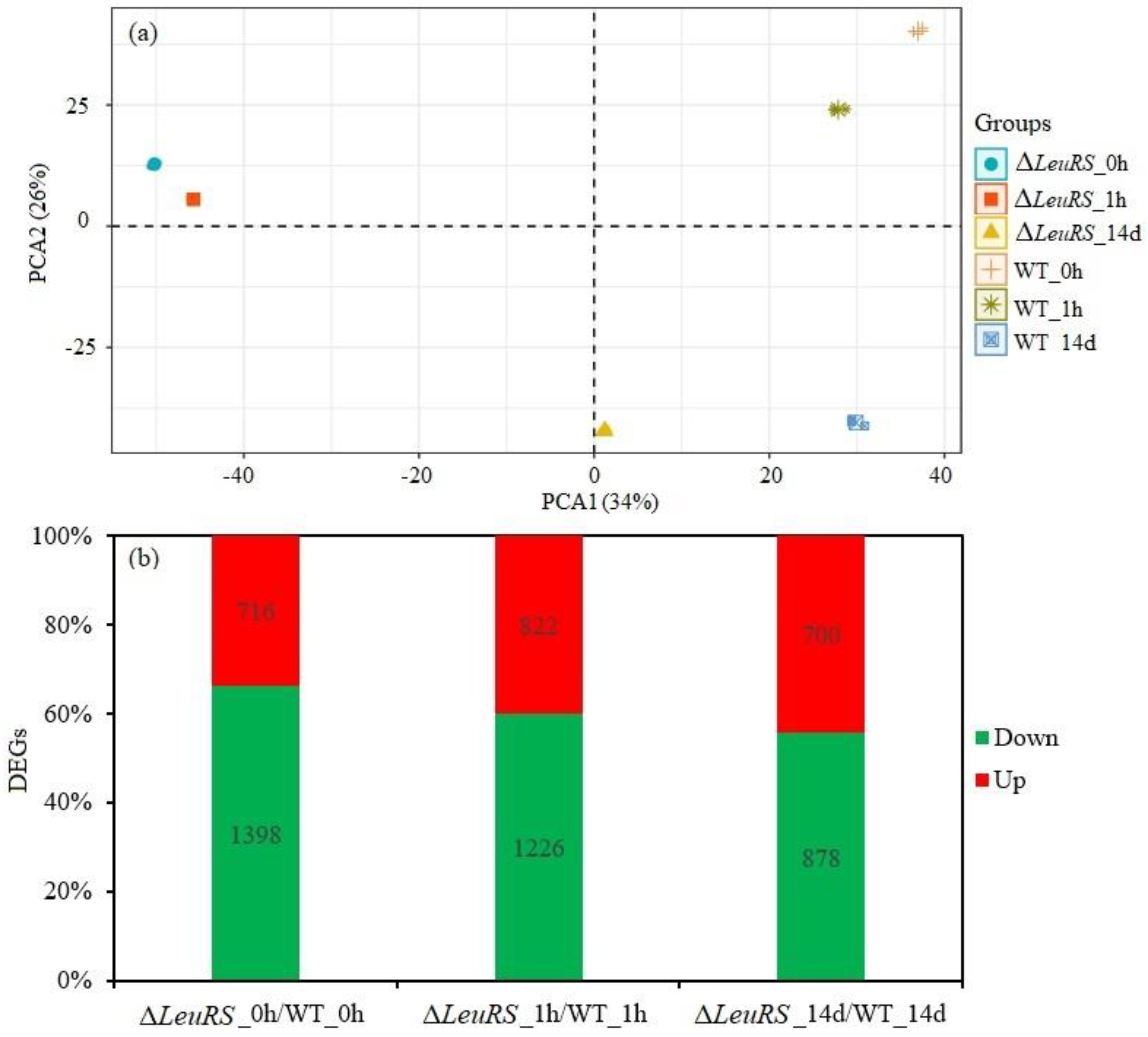 Preprints 89139 g002