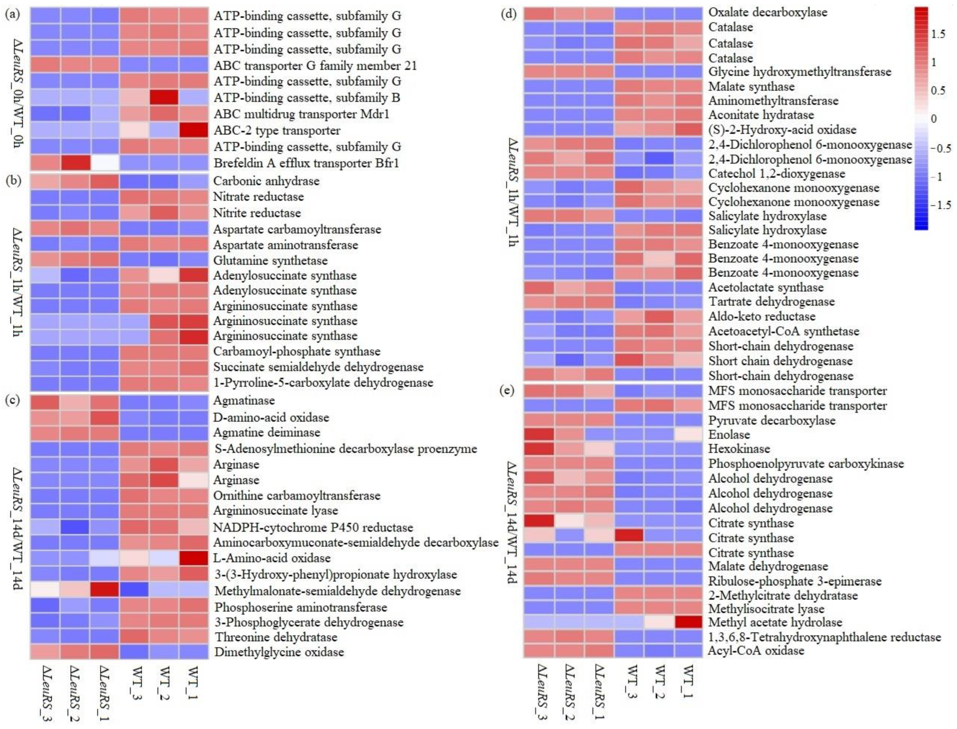 Preprints 89139 g004