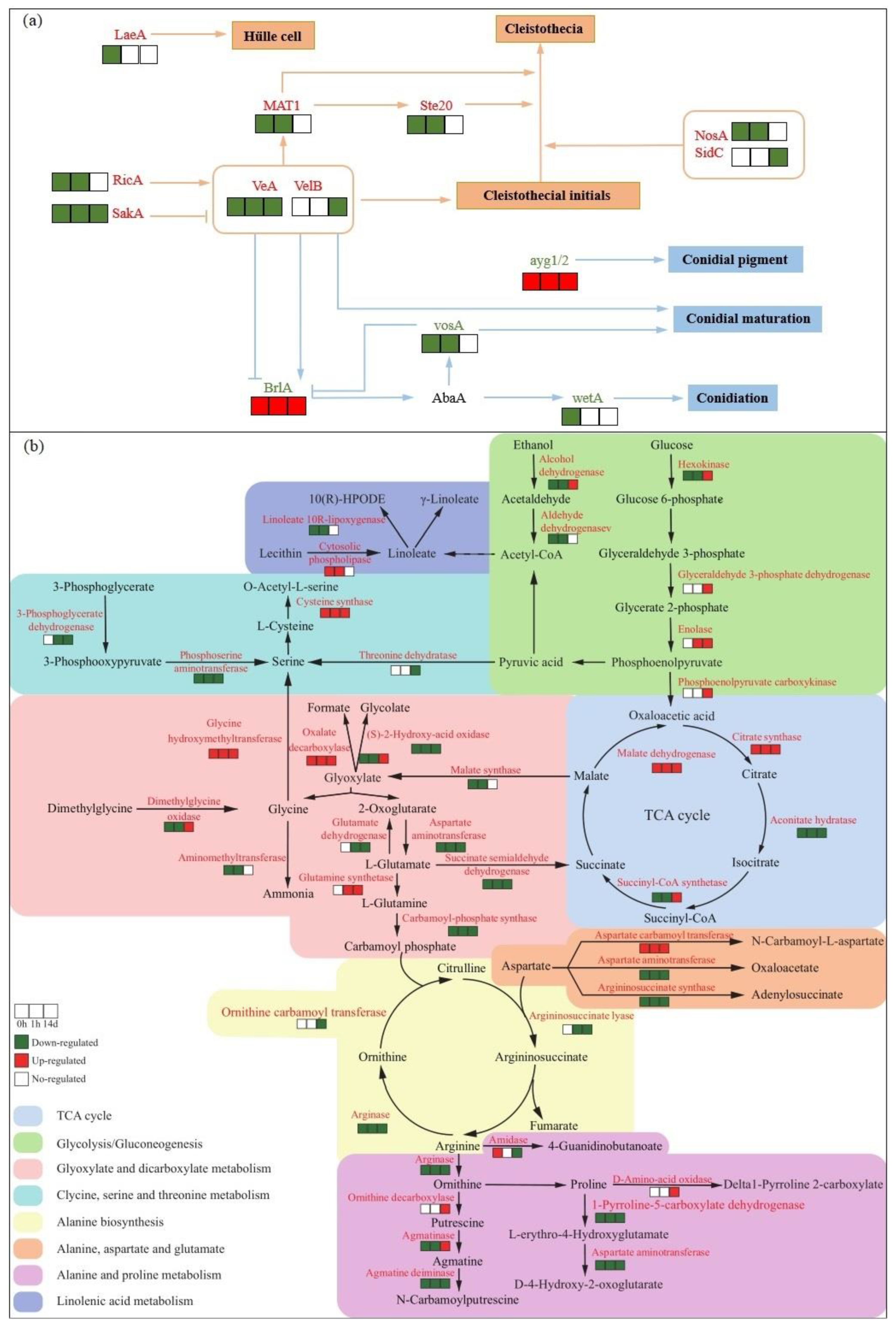 Preprints 89139 g006