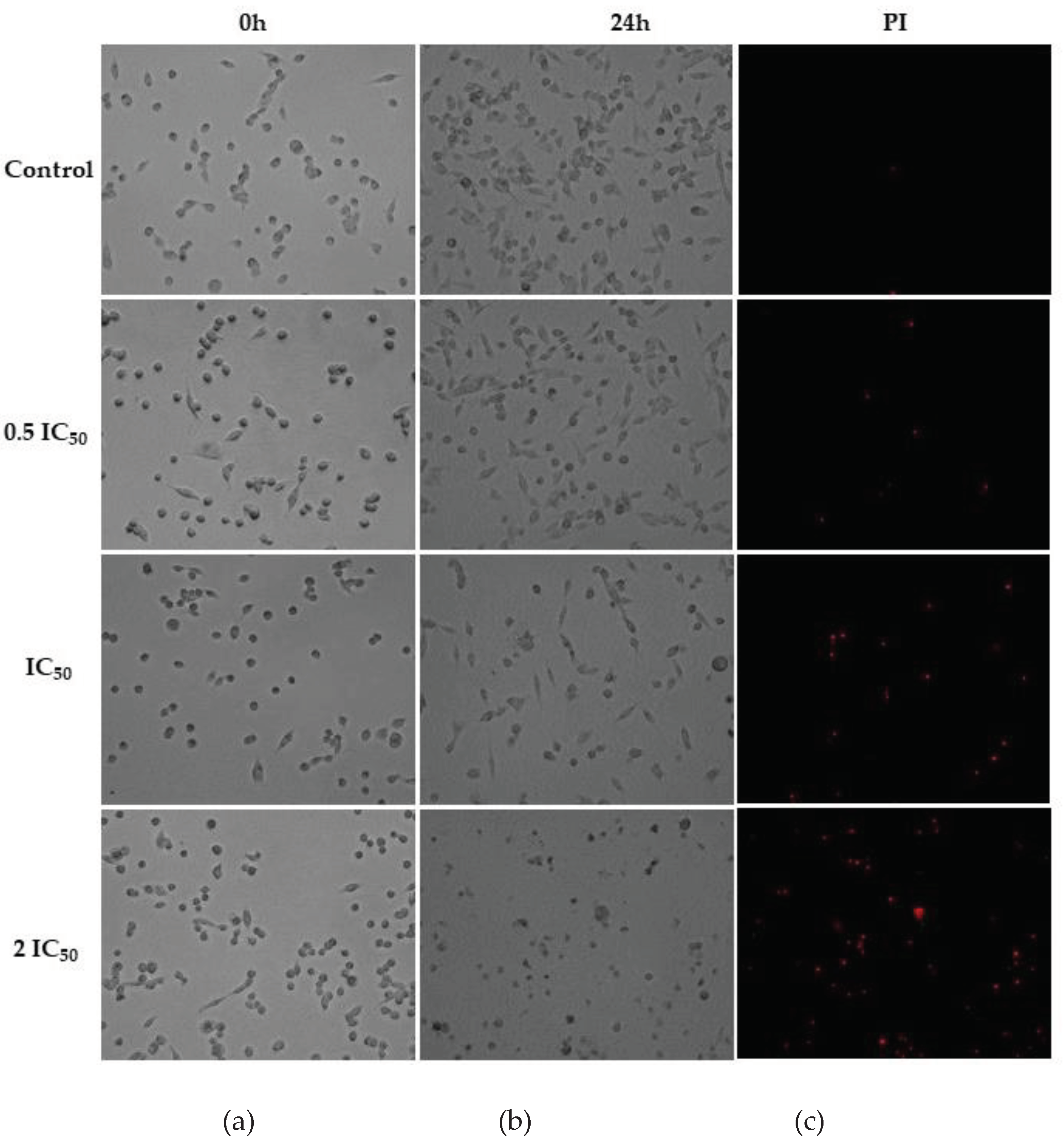 Preprints 101648 g001