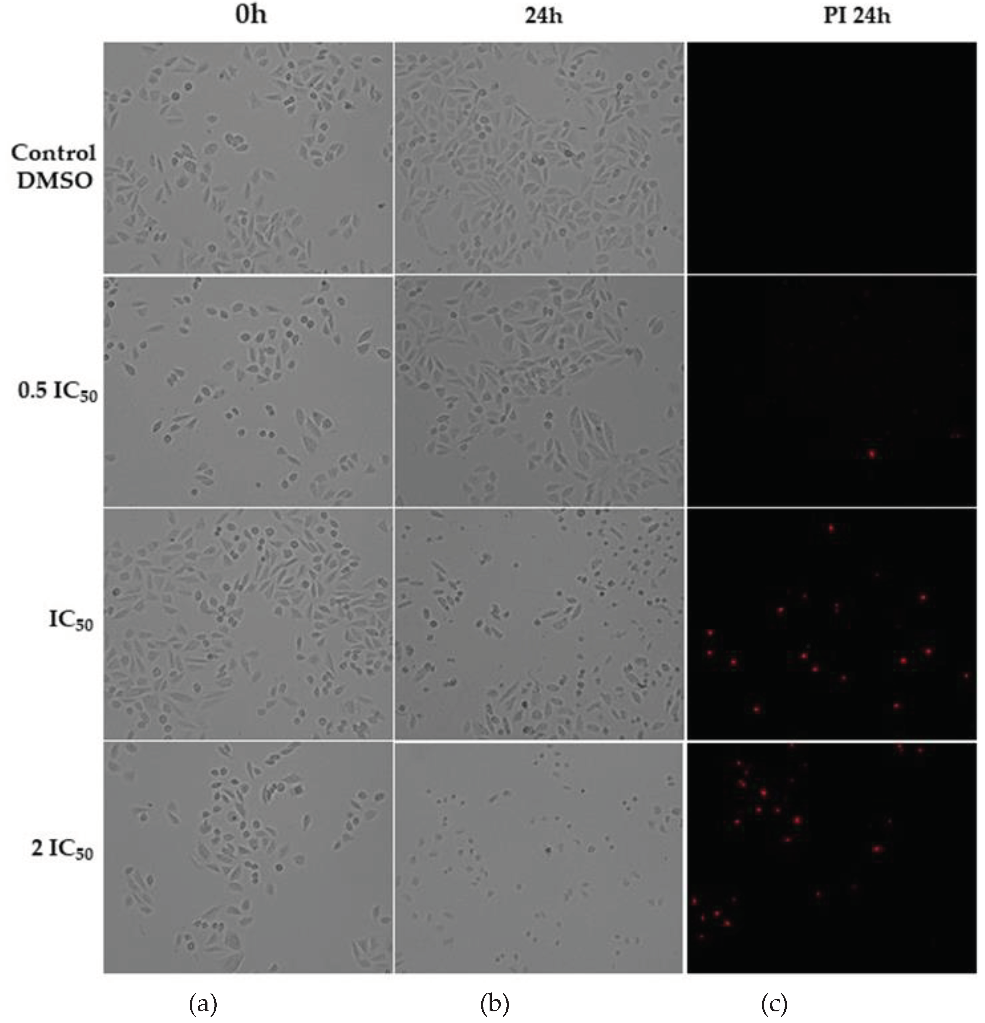 Preprints 101648 g002