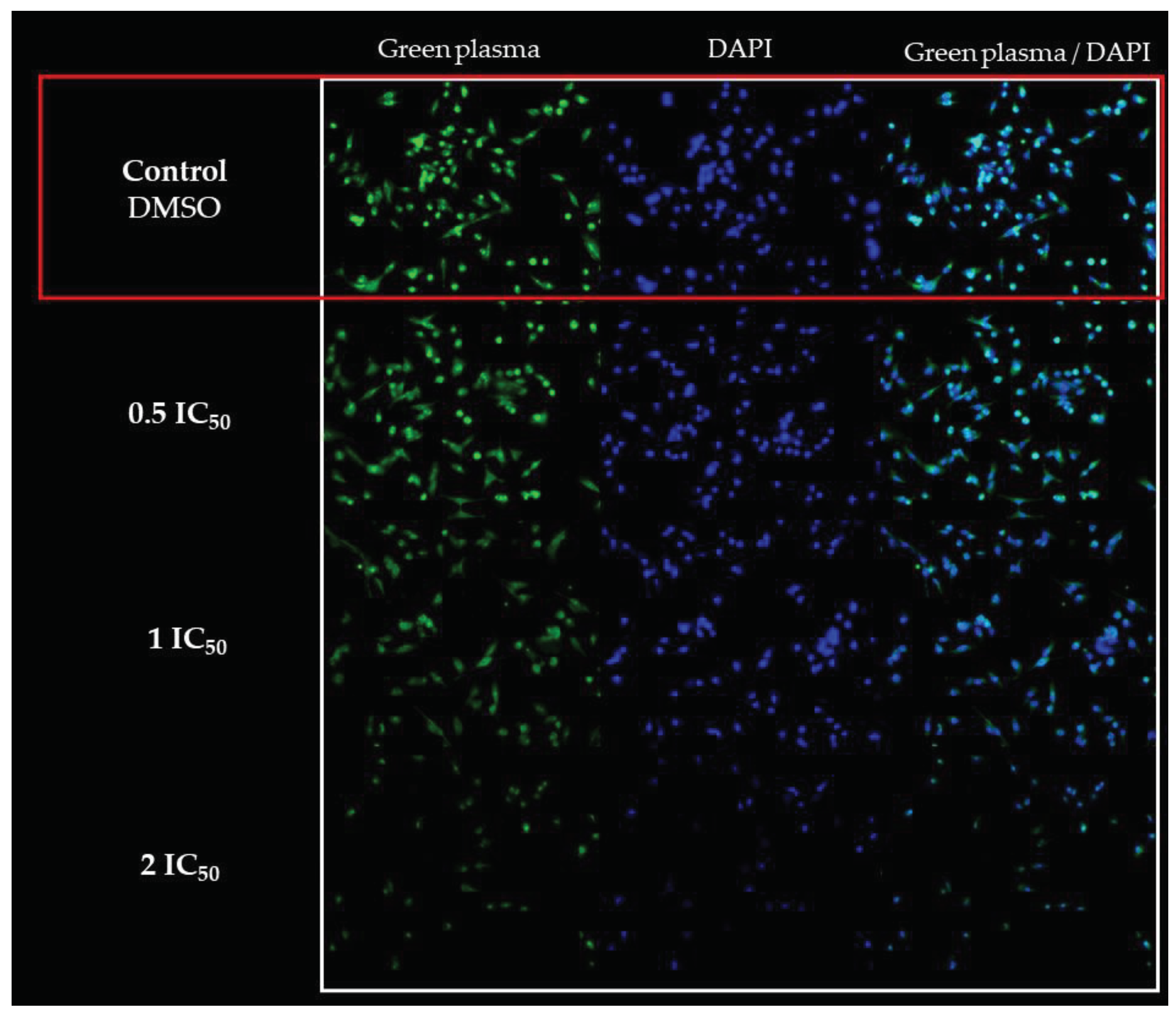 Preprints 101648 g003